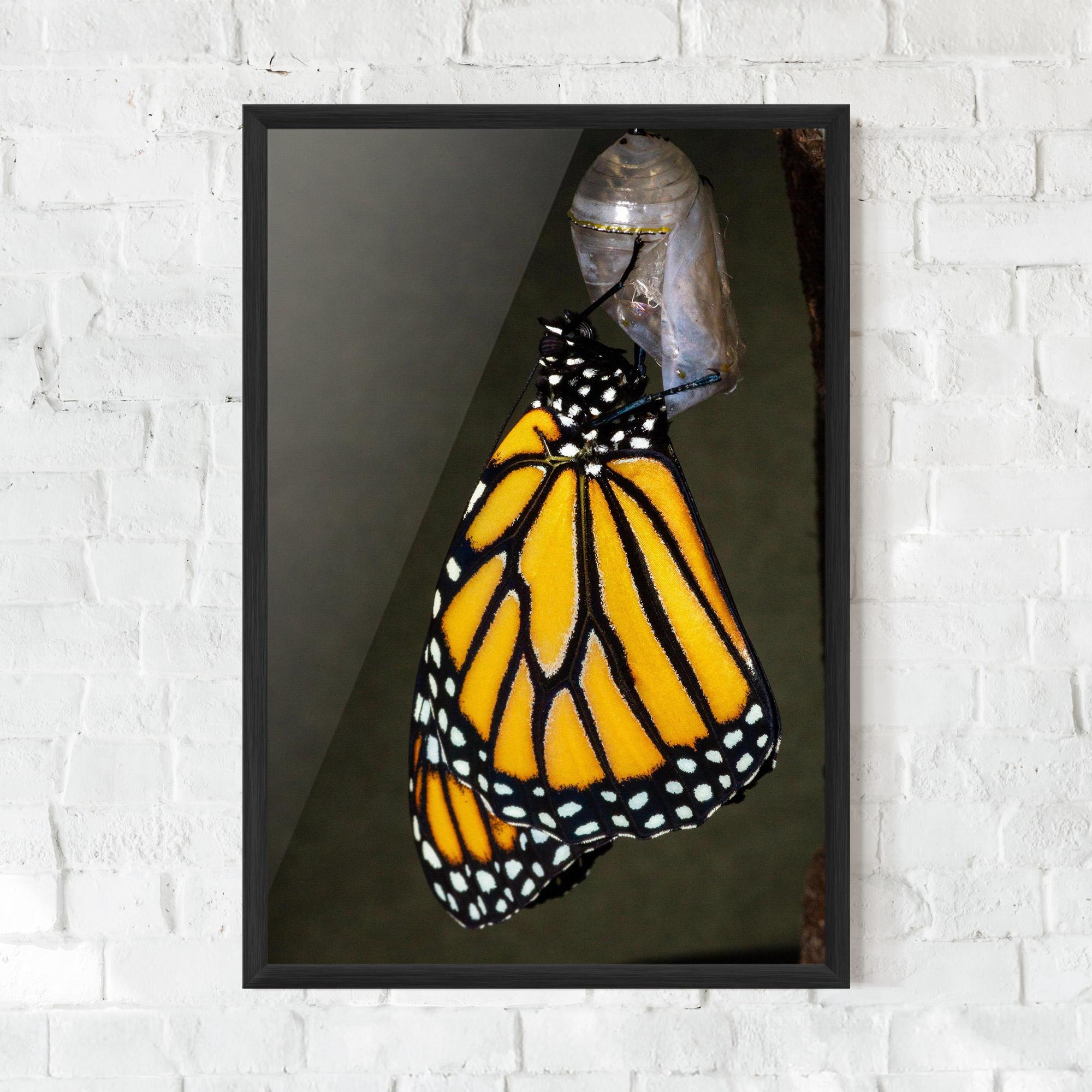 Plakat w Ramie Dark Yellow Butterfly mockup 0
