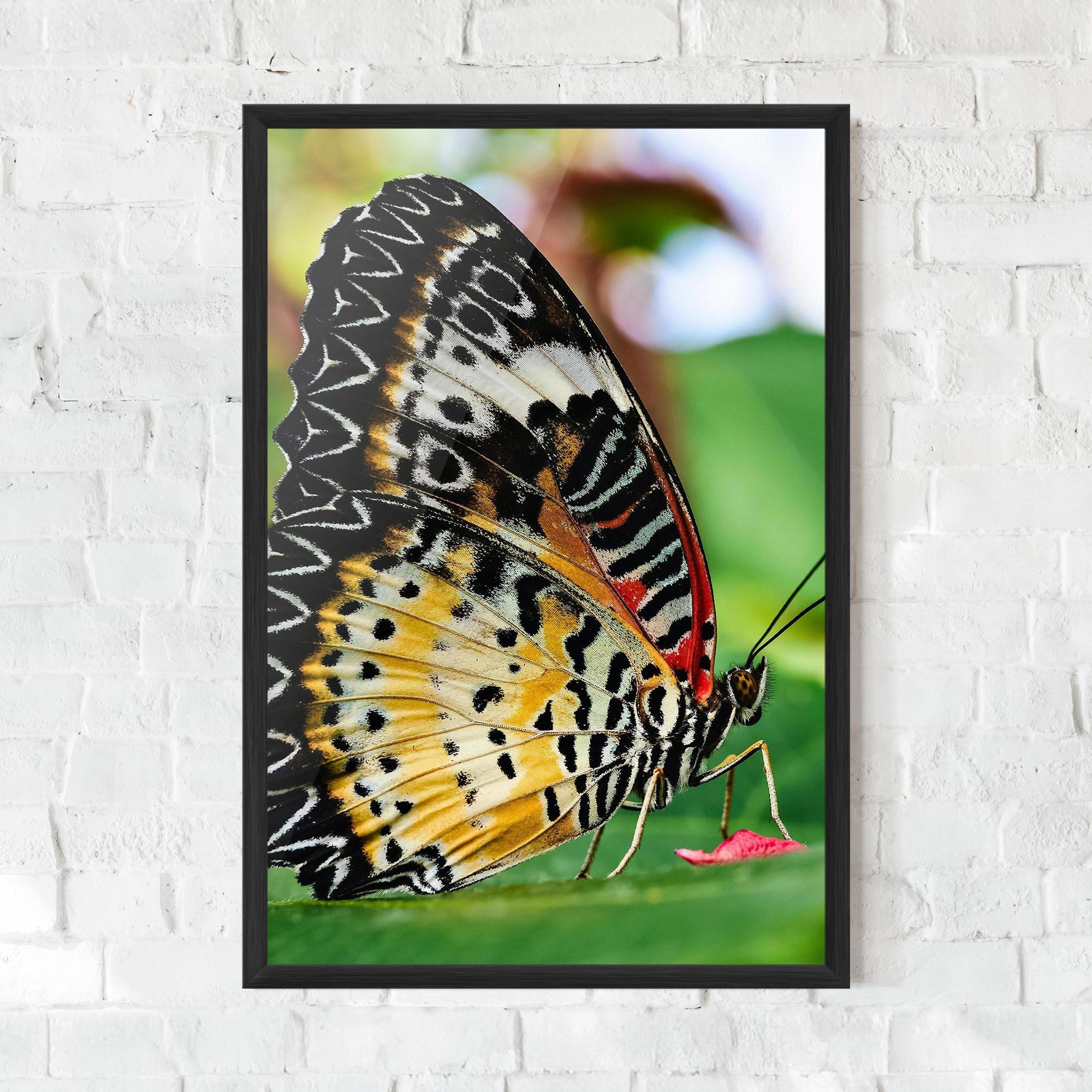 Plakat w Ramie Pretty Colorful Butterfly mockup 0