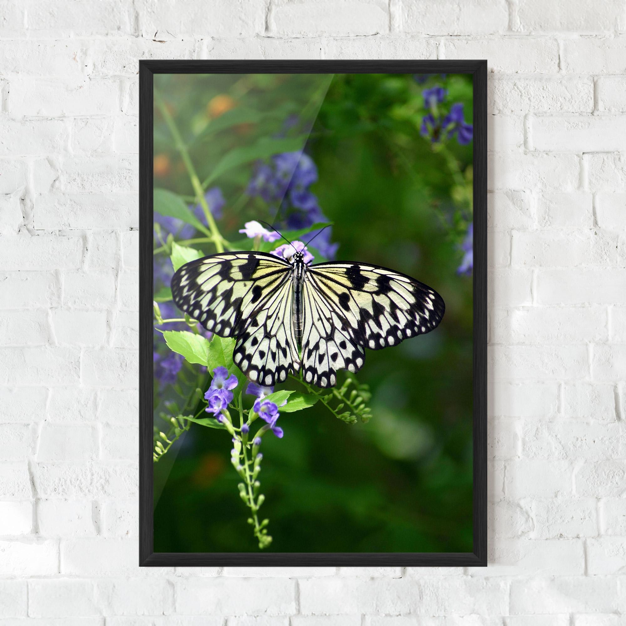 Plakat w Ramie Pretty White Butterfly mockup 0
