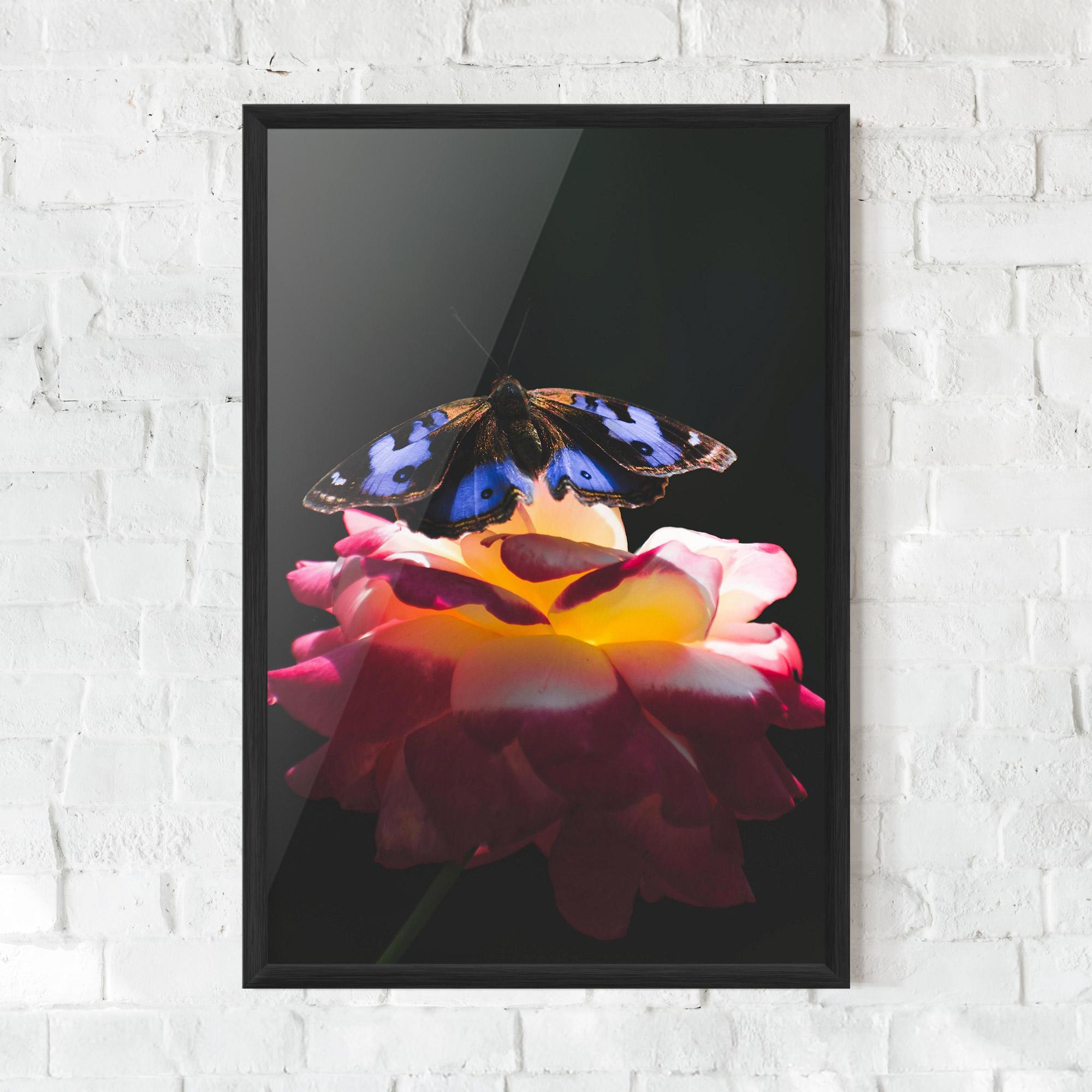 Plakat w Ramie Rose Butterfly mockup 0