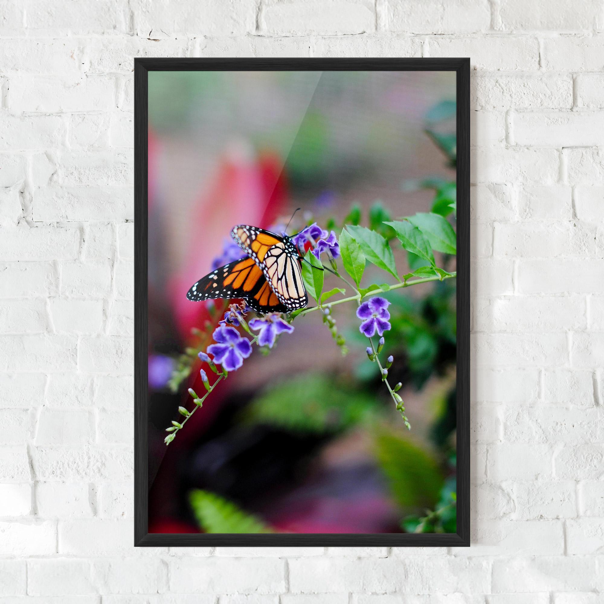 Plakat w Ramie Strong Orange Butterfly mockup 0