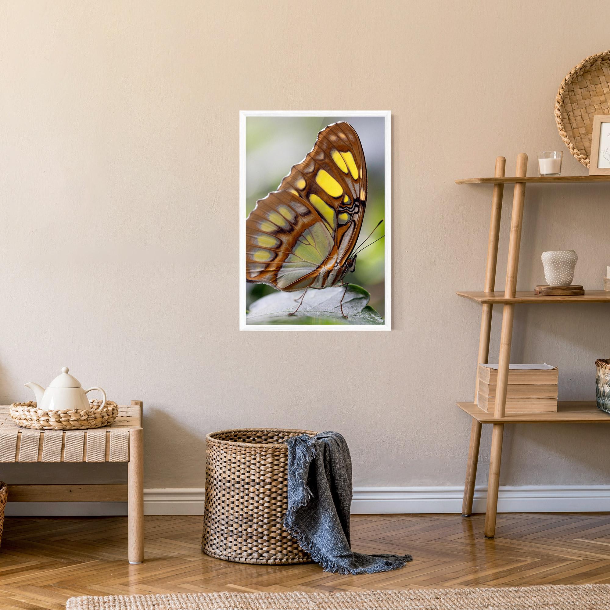 Plakat w Ramie Brown Yellow Butterfly mockup 9