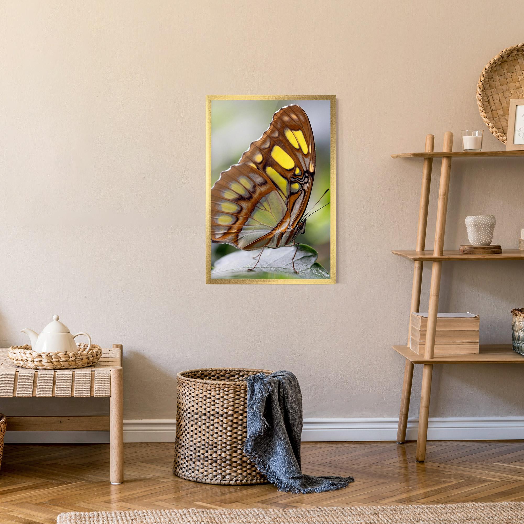 Plakat w Ramie Brown Yellow Butterfly mockup 9