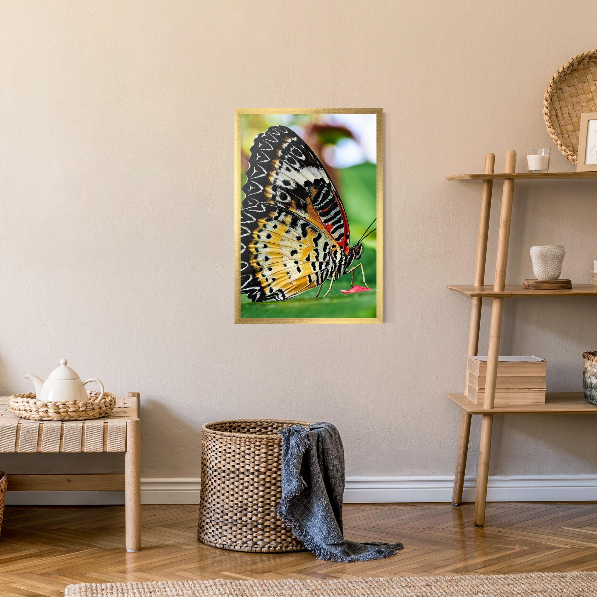Plakat w Ramie Pretty Colorful Butterfly mockup 9