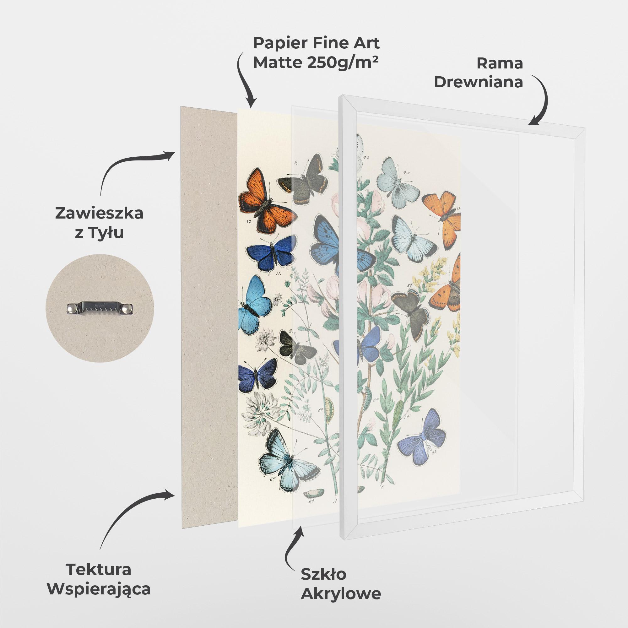 Plakat w Ramie Blue Orange Butterflies mockup 1