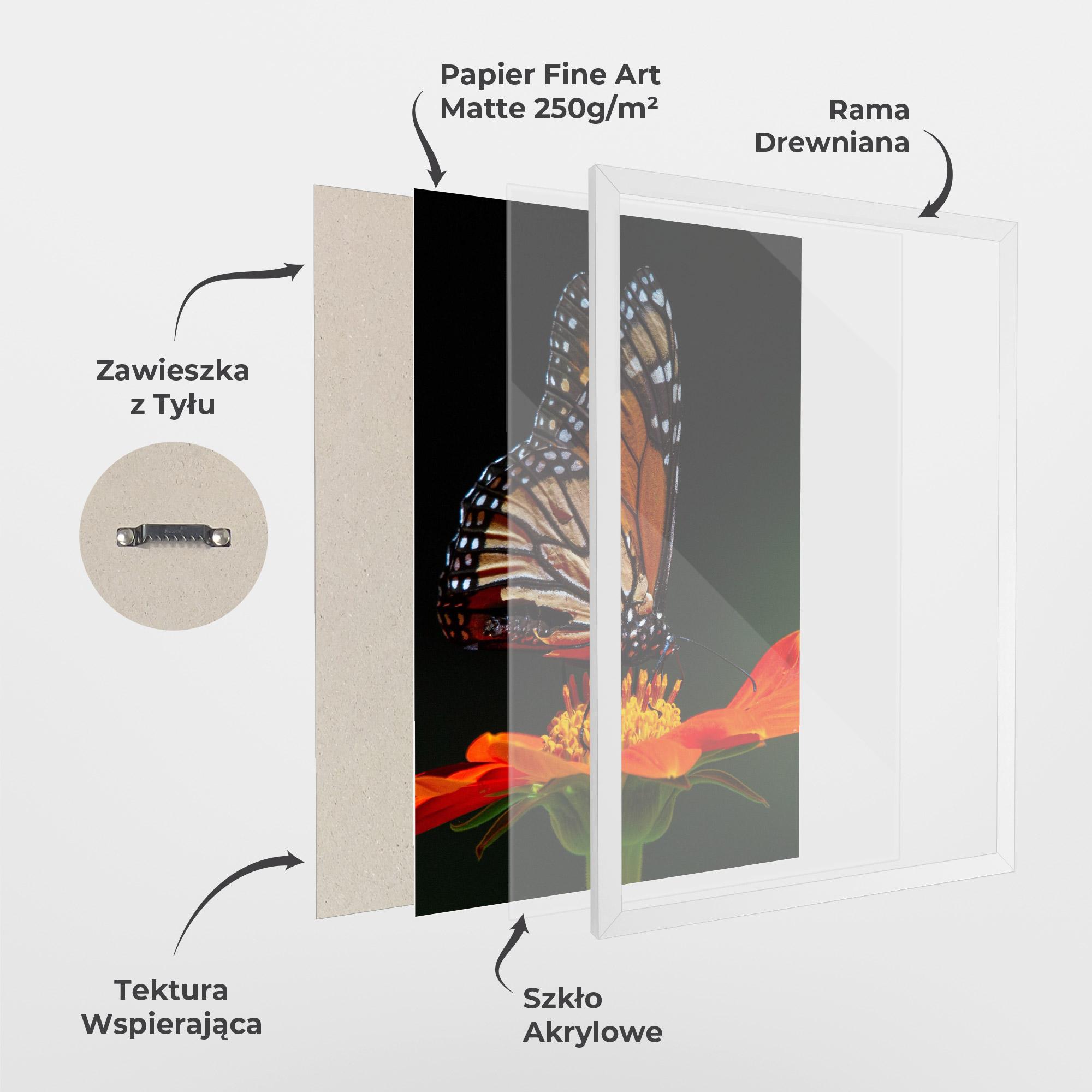 Plakat w Ramie Dark Orange Butterfy mockup 1