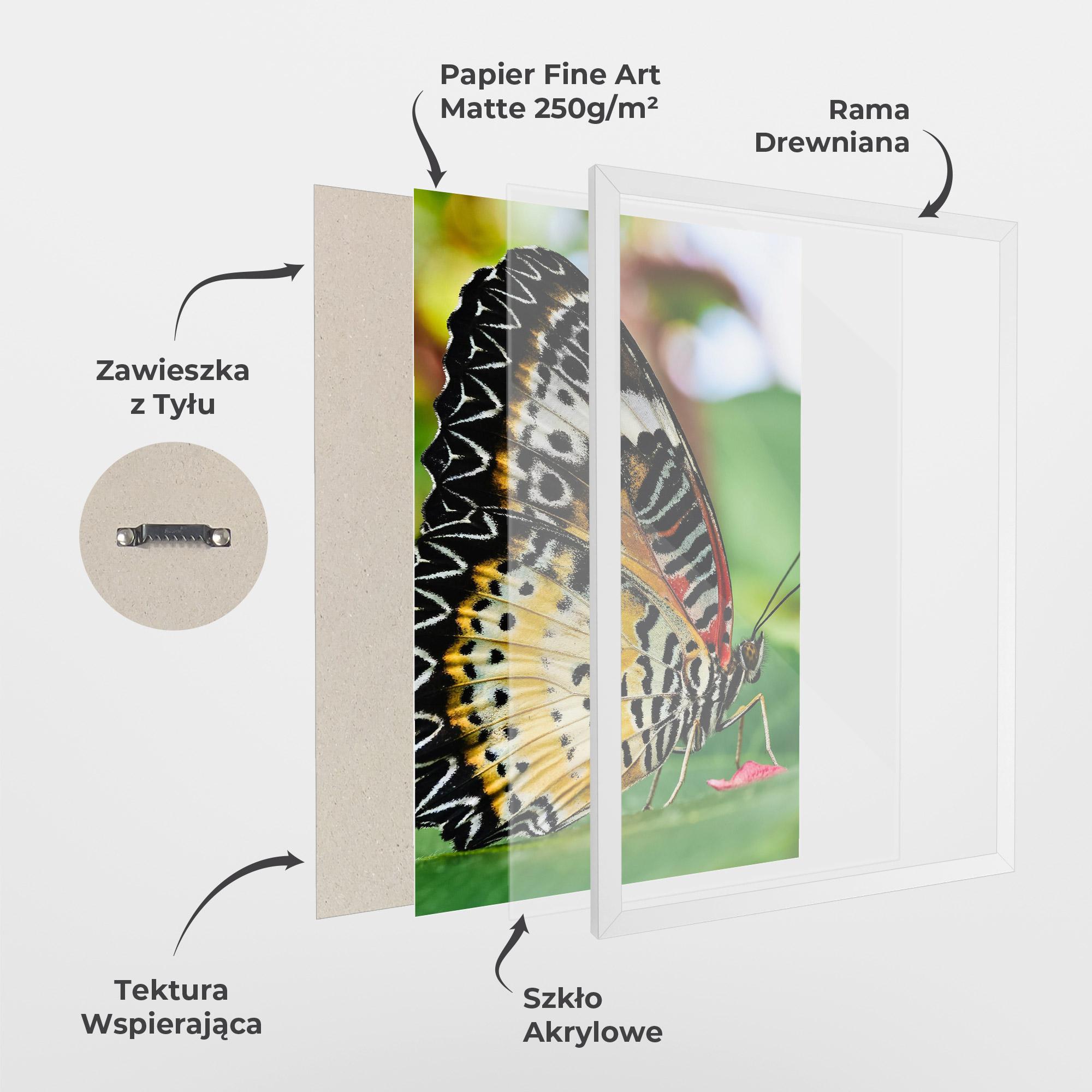 Plakat w Ramie Pretty Colorful Butterfly mockup 1