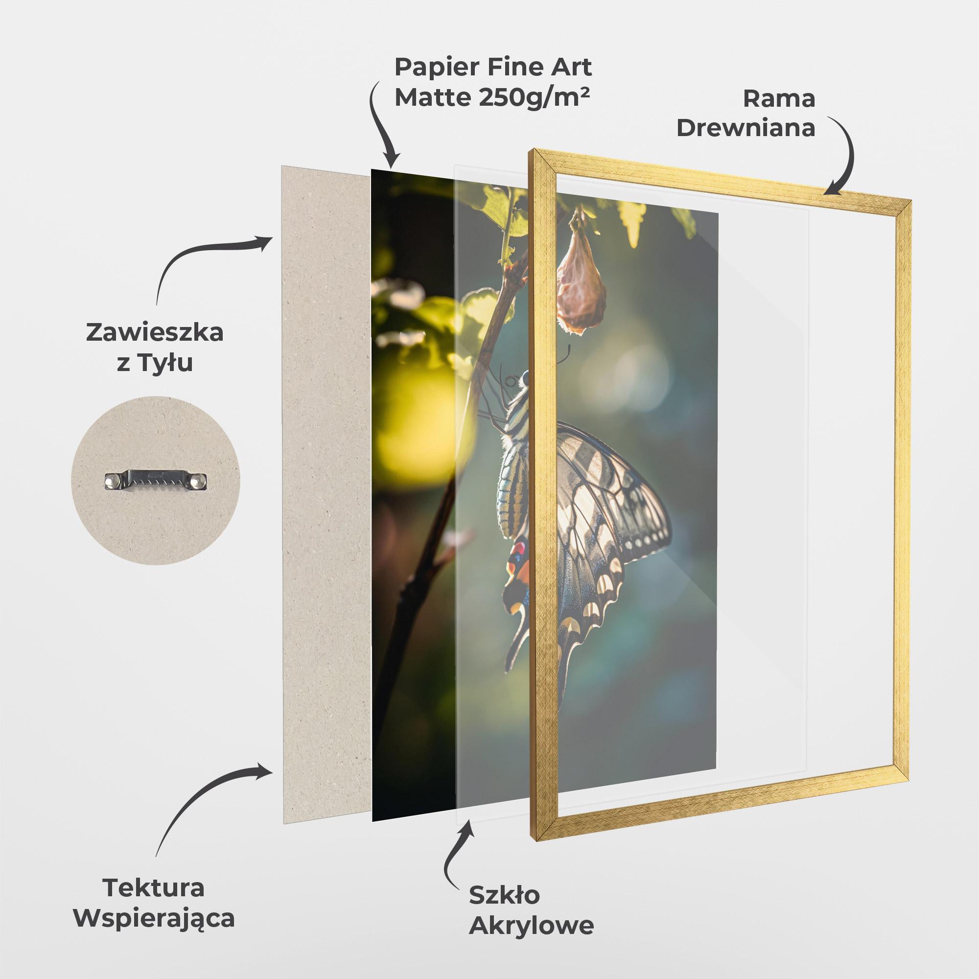 Plakat w Ramie Blue Cream Butterfly mockup 1