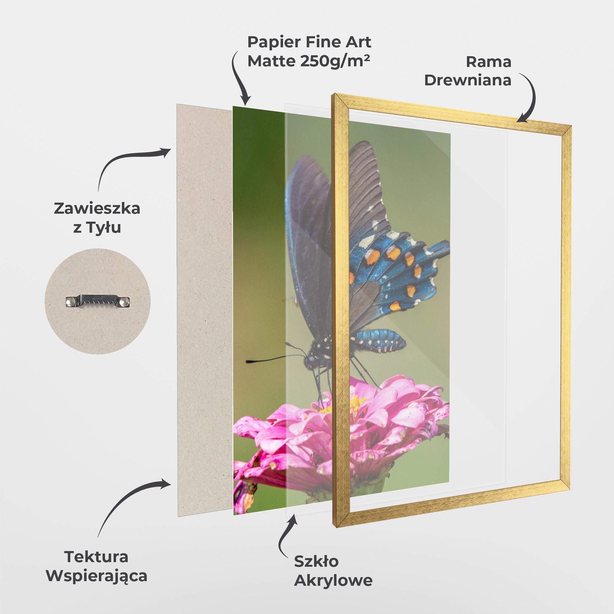 Plakat w Ramie Blue Grey Butterfly mockup 1