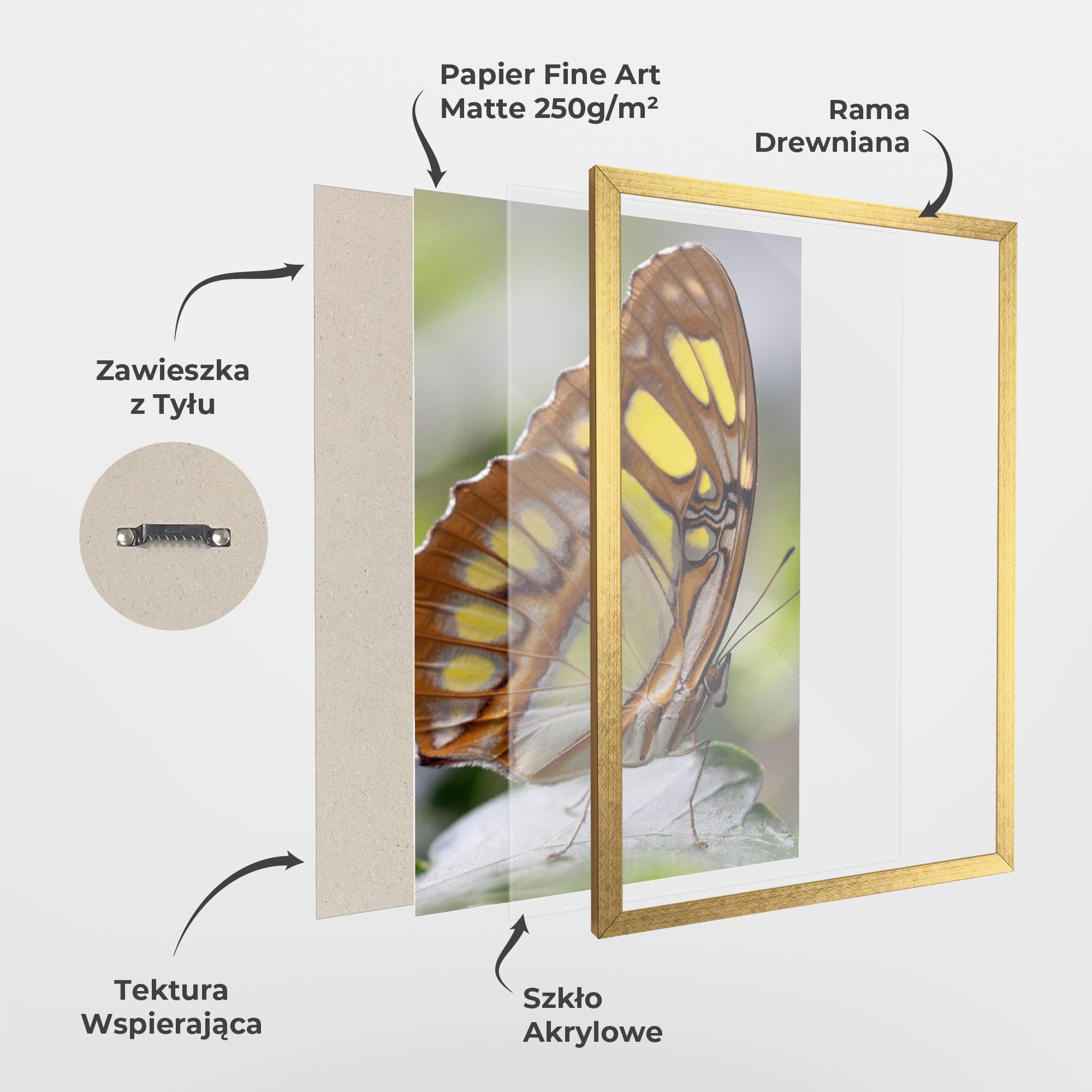Plakat w Ramie Brown Yellow Butterfly mockup 1