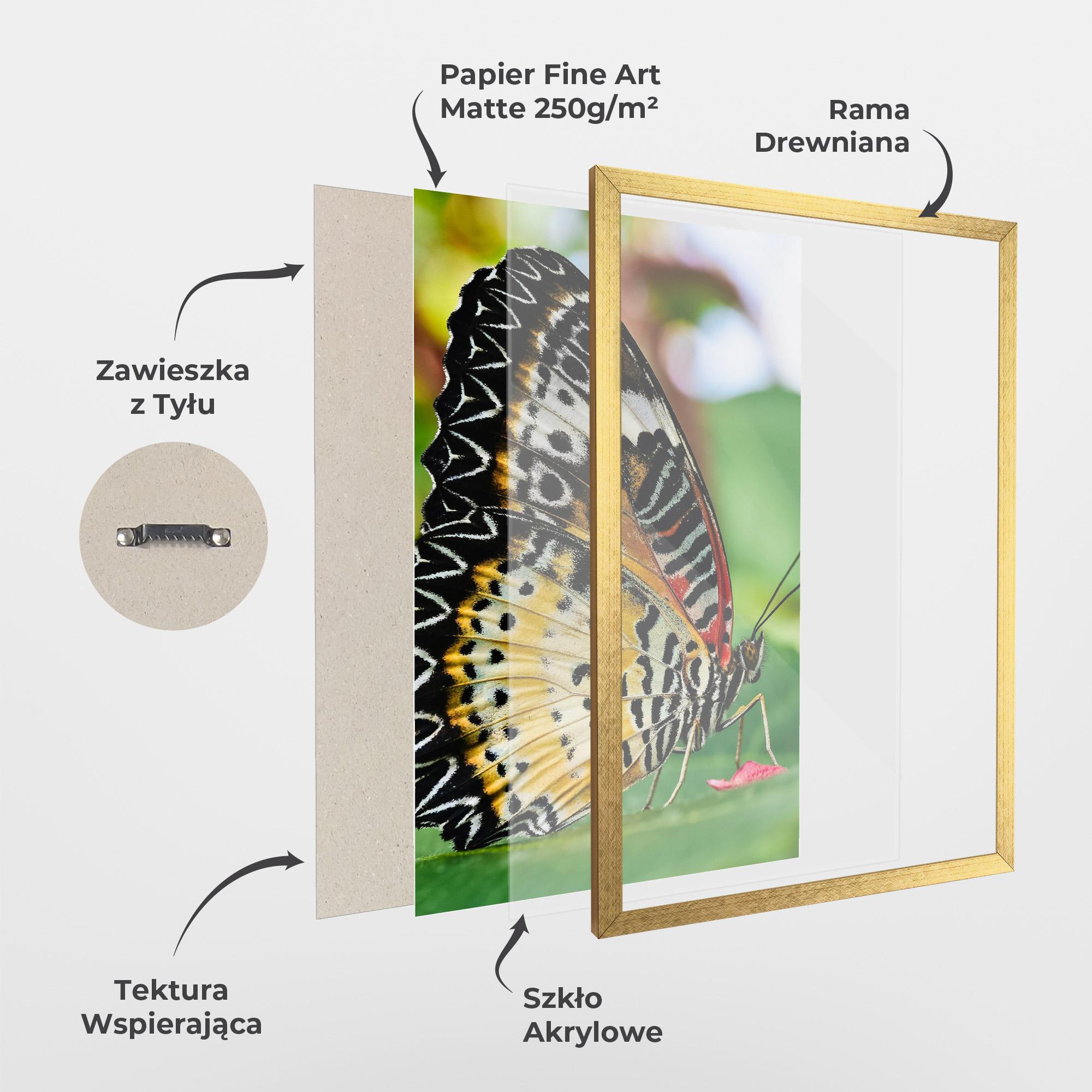 Plakat w Ramie Pretty Colorful Butterfly mockup 1