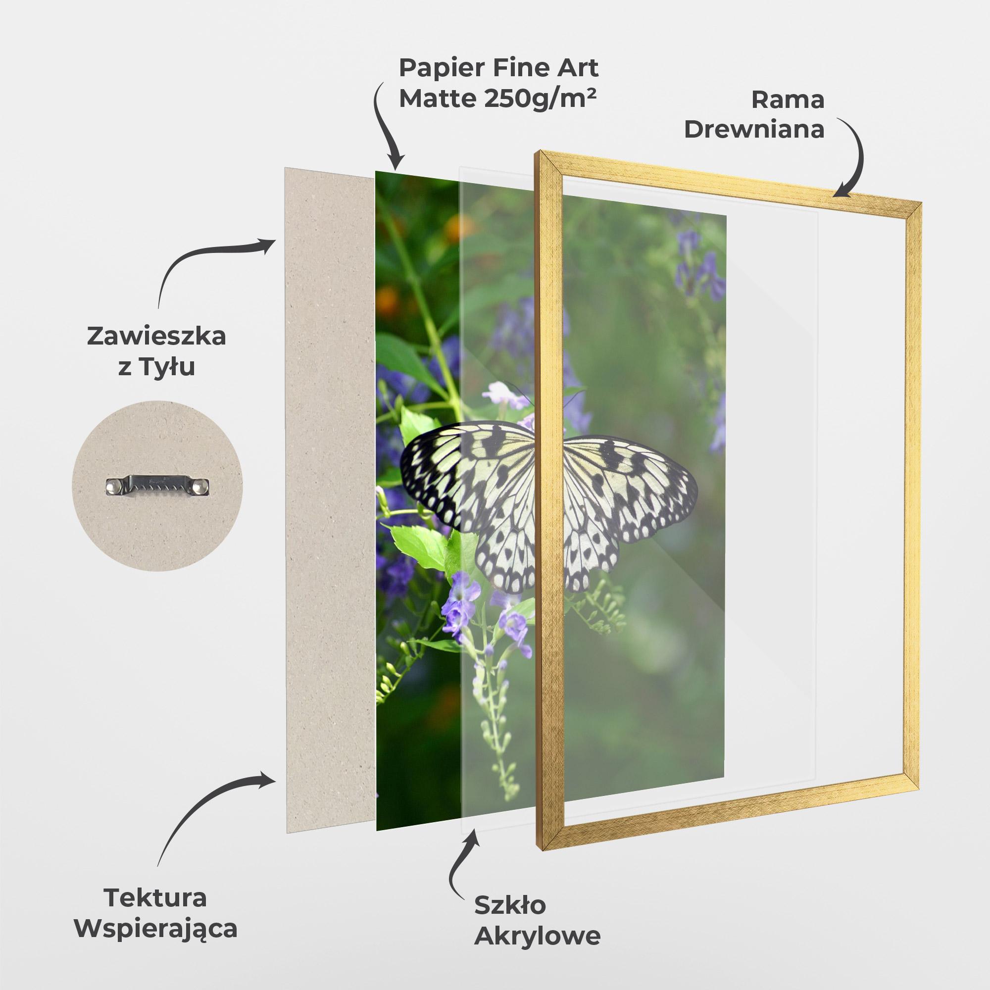 Plakat w Ramie Pretty White Butterfly mockup 1