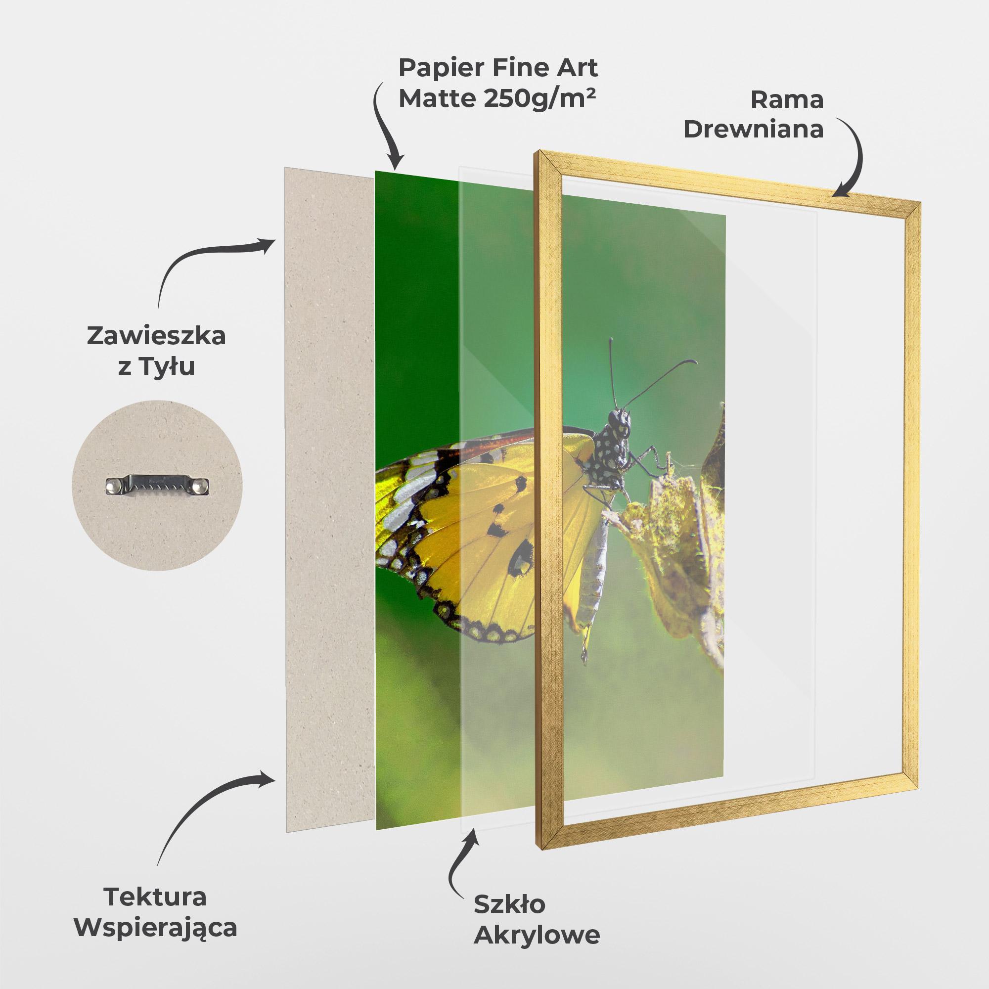 Plakat w Ramie Yellow White Butterfly mockup 1