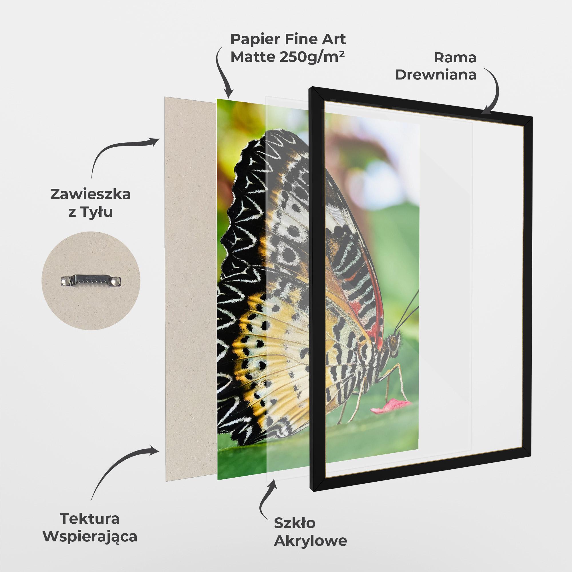Plakat w Ramie Pretty Colorful Butterfly mockup 1