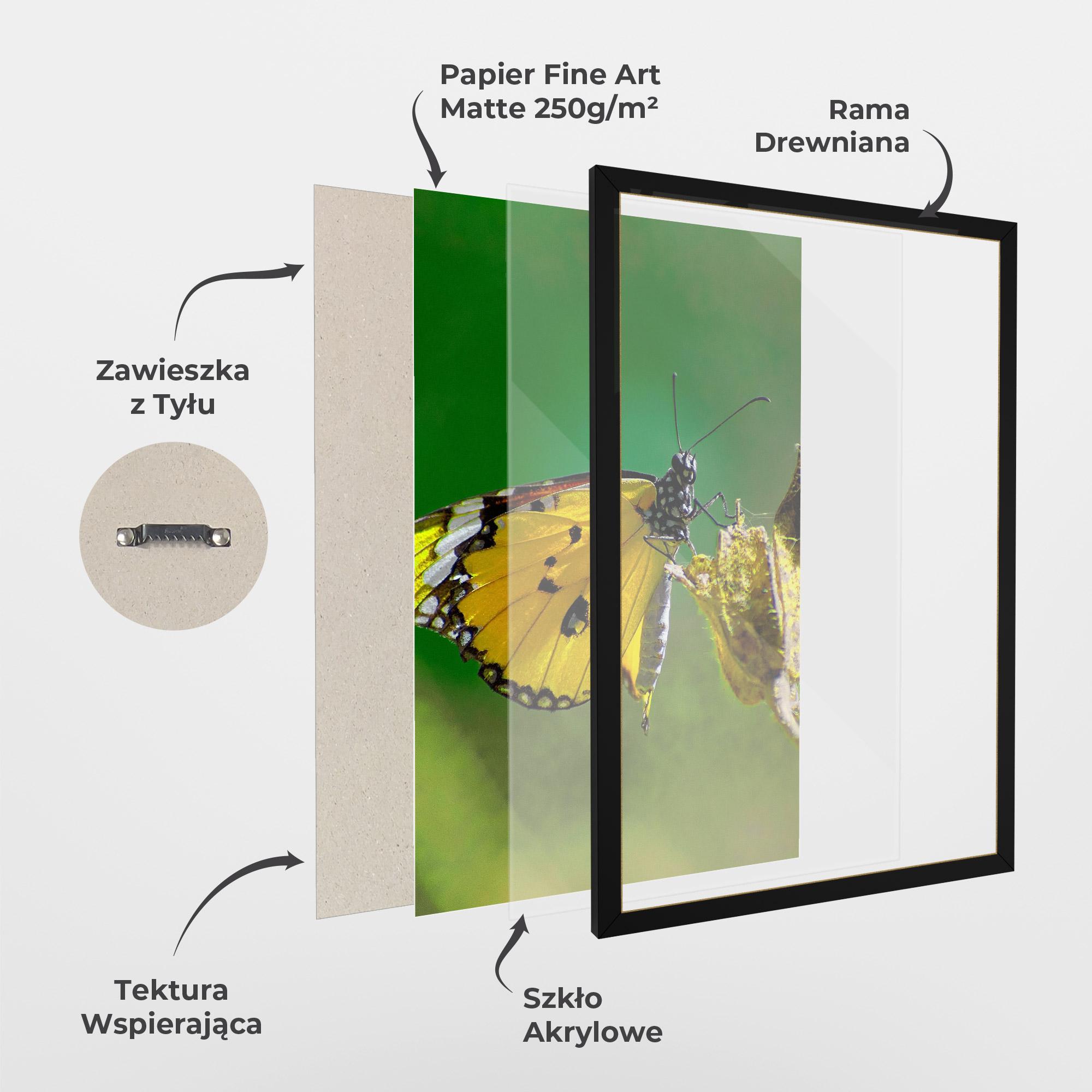 Plakat w Ramie Yellow White Butterfly mockup 1
