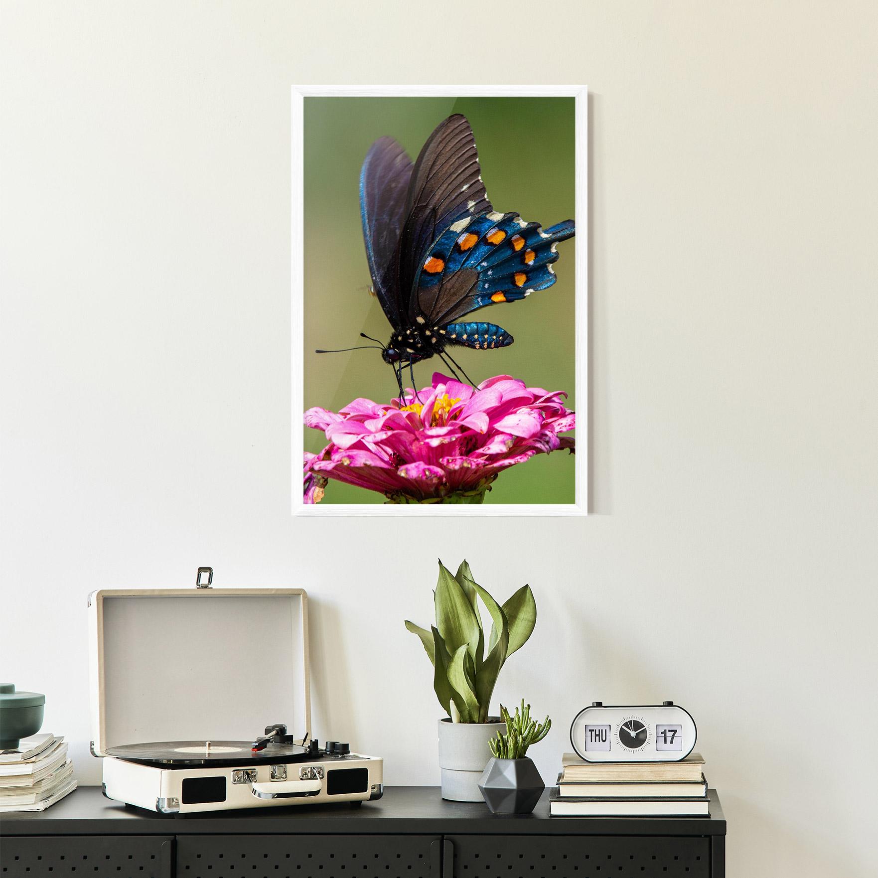Plakat w Ramie Blue Grey Butterfly mockup 2