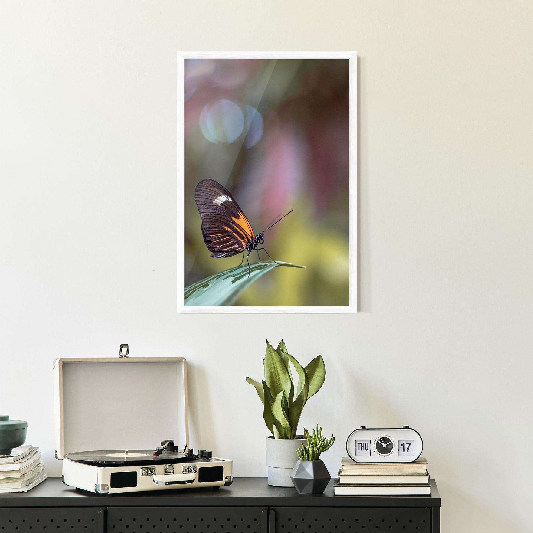 Plakat w Ramie Dark Purple Butterfly mockup 2