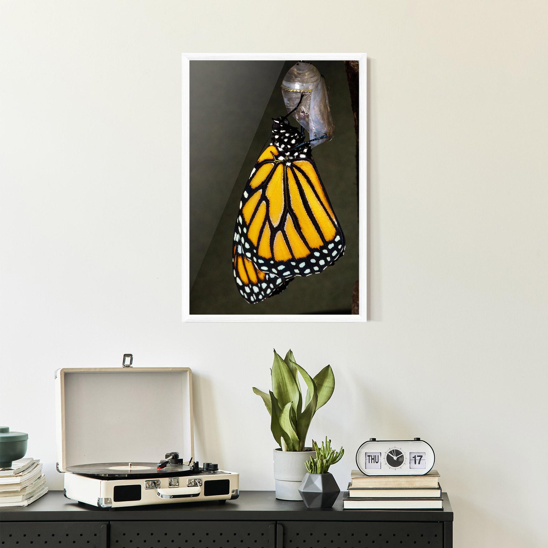 Plakat w Ramie Dark Yellow Butterfly mockup 2