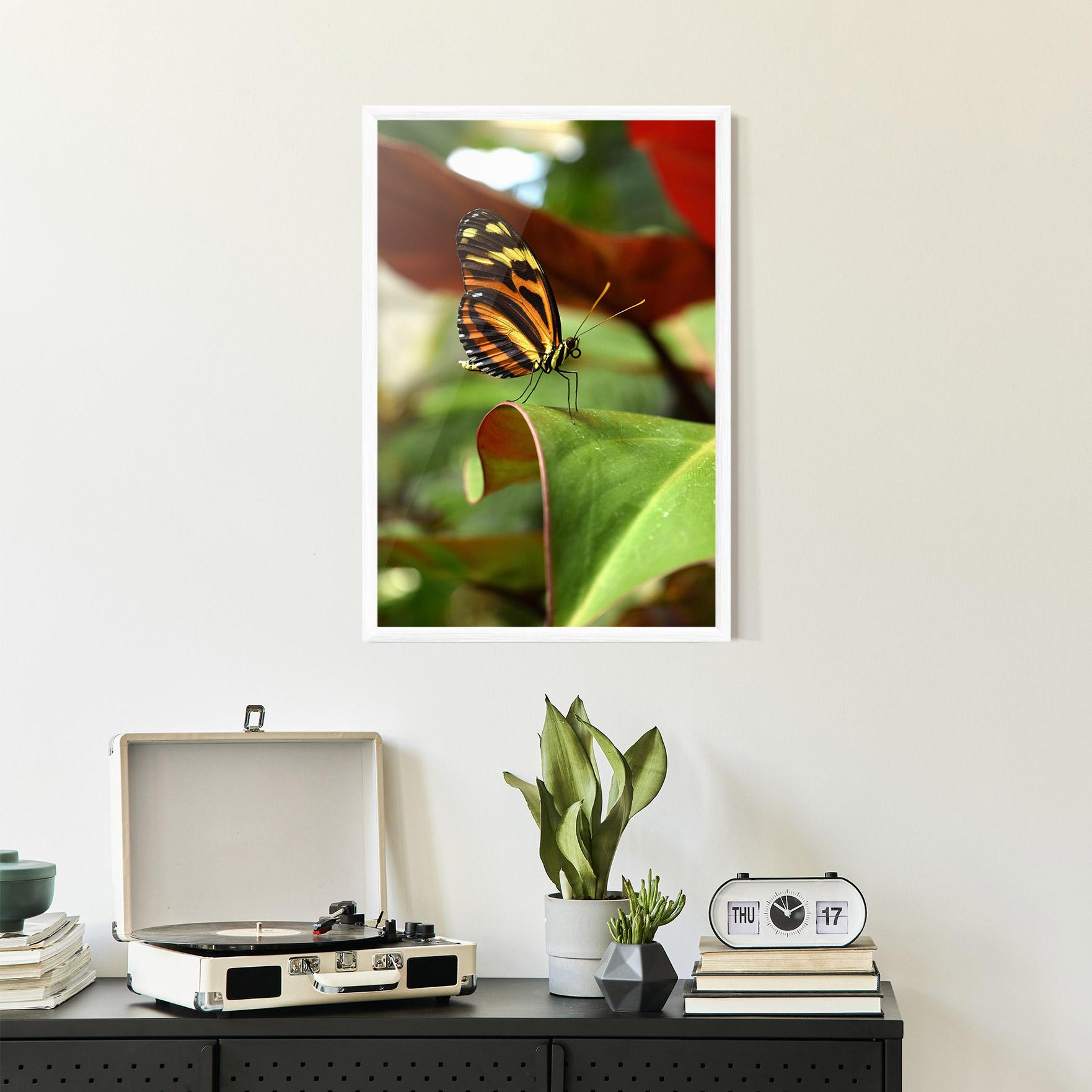 Plakat w Ramie Orange Yellow Butterfly mockup 2