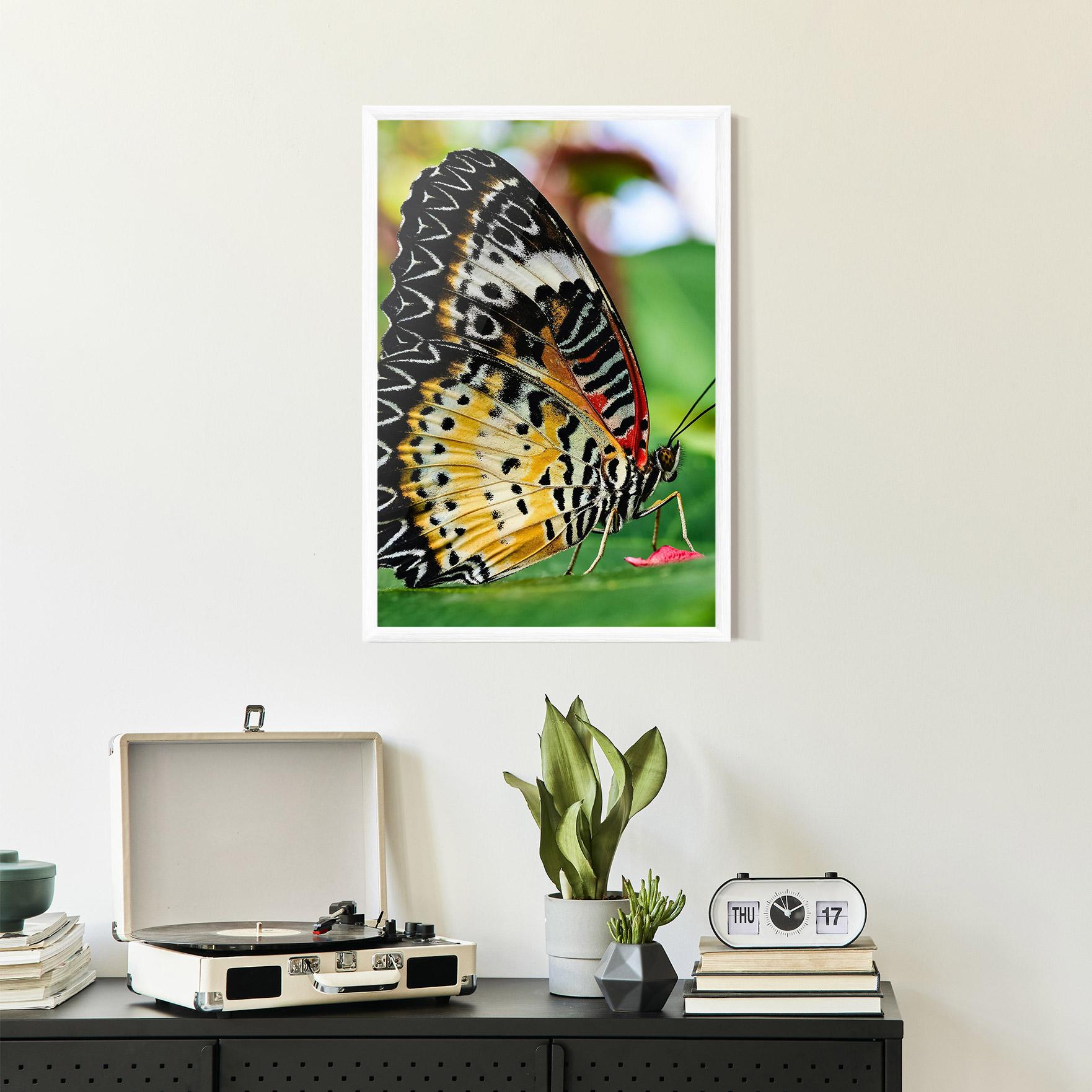 Plakat w Ramie Pretty Colorful Butterfly mockup 2