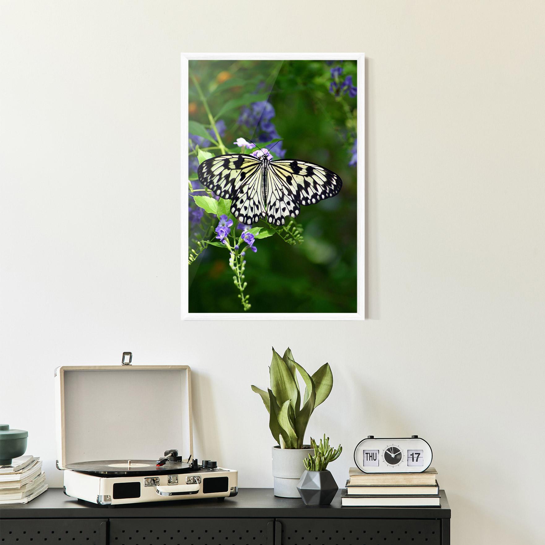 Plakat w Ramie Pretty White Butterfly mockup 2