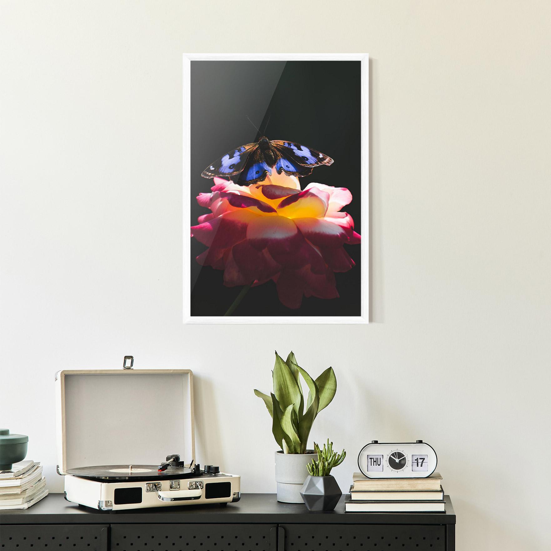 Plakat w Ramie Rose Butterfly mockup 2