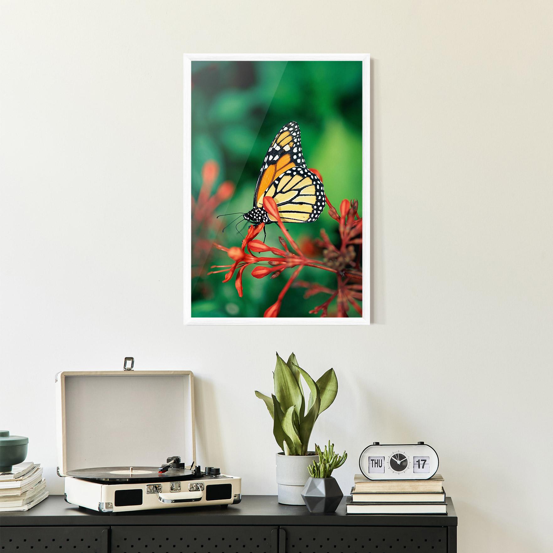 Plakat w Ramie Small Orange Butterfly mockup 2