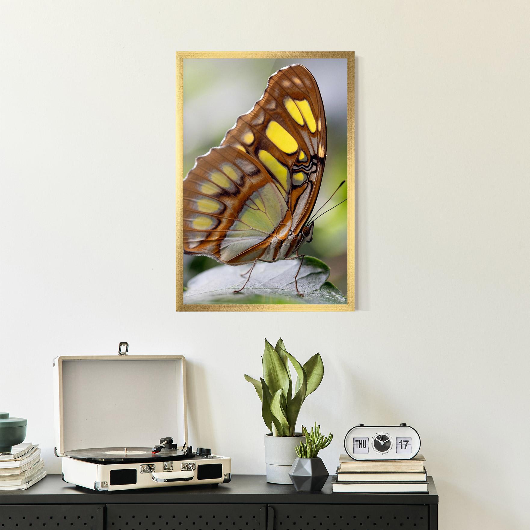 Plakat w Ramie Brown Yellow Butterfly mockup 2