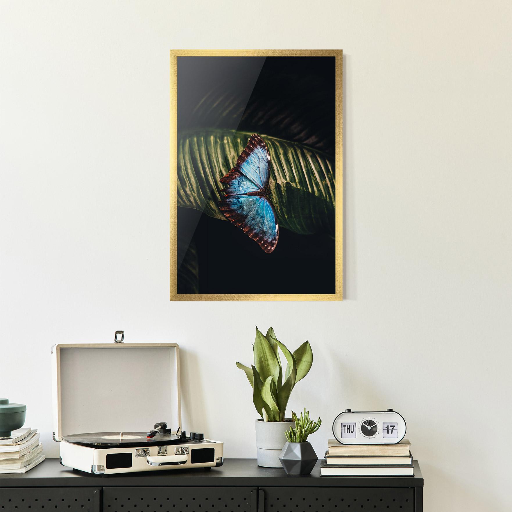 Plakat w Ramie Light Blue Butterfly mockup 2