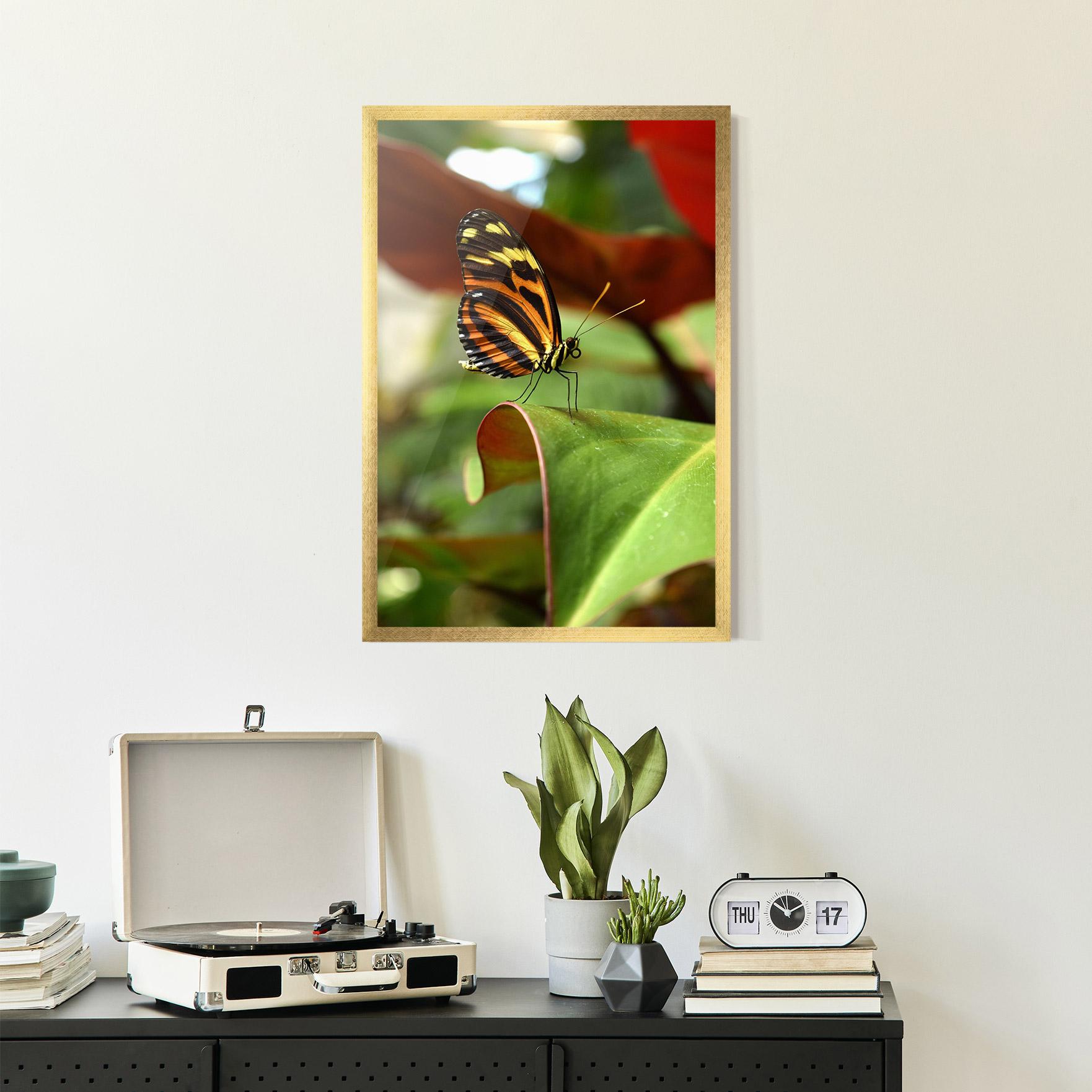 Plakat w Ramie Orange Yellow Butterfly mockup 2