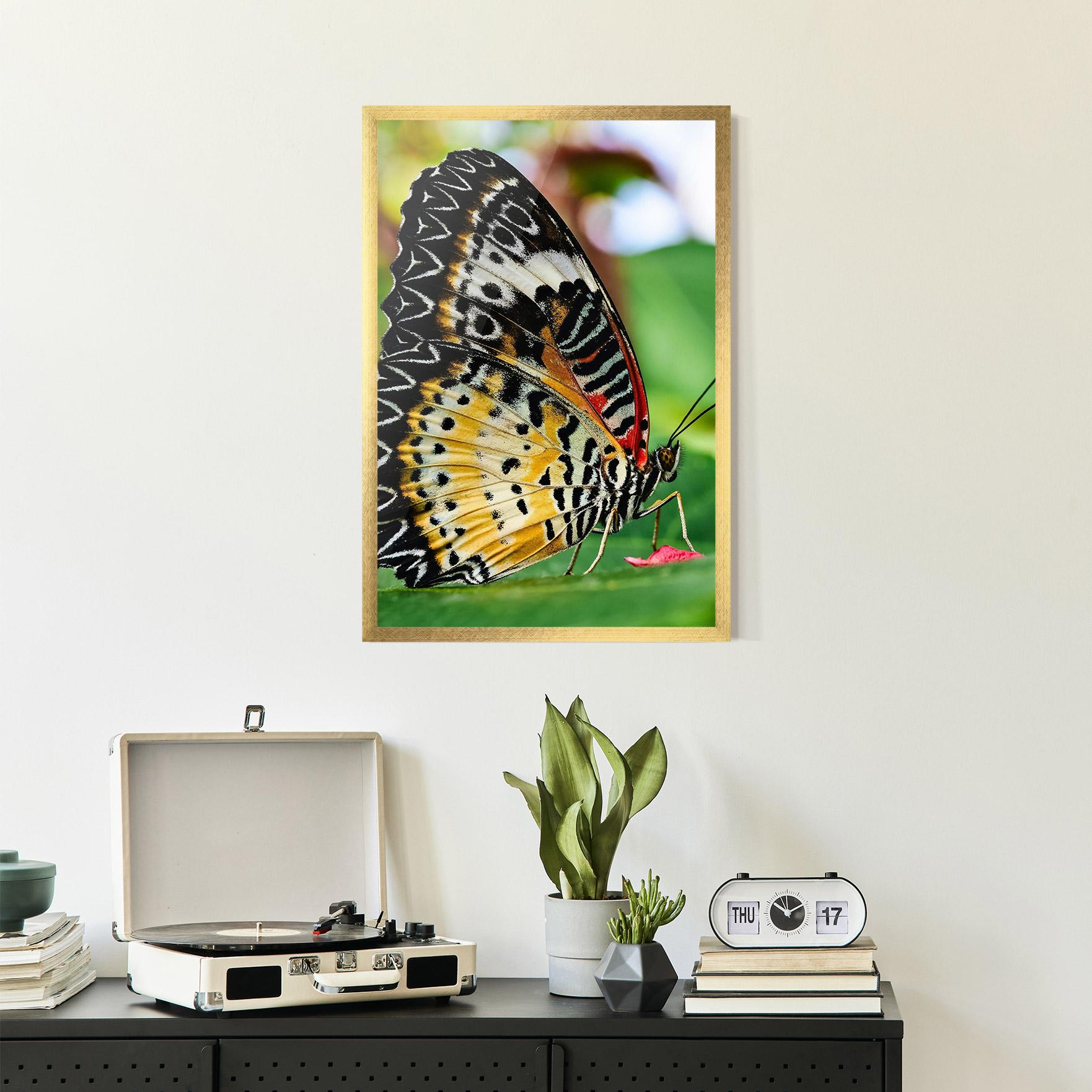 Plakat w Ramie Pretty Colorful Butterfly mockup 2