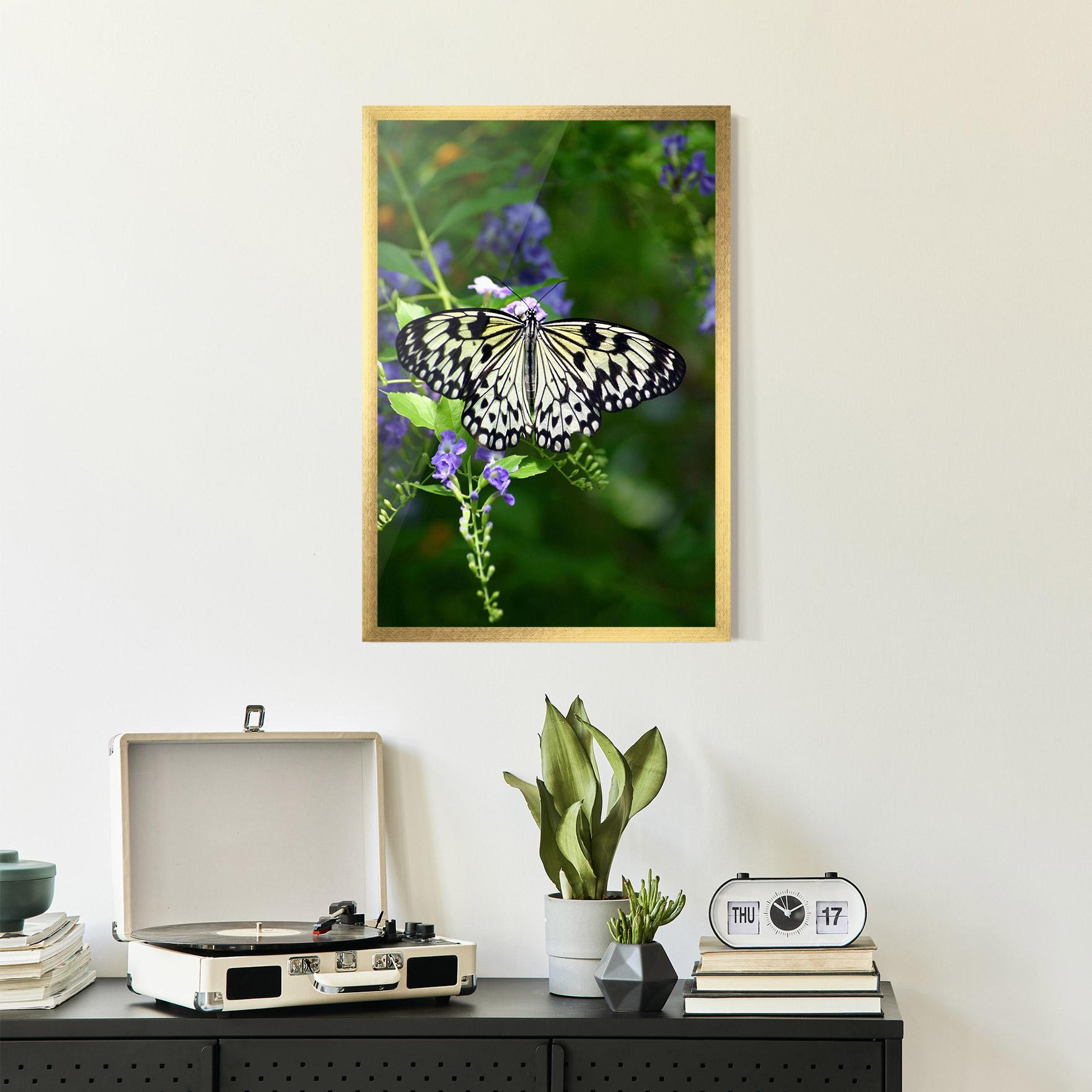 Plakat w Ramie Pretty White Butterfly mockup 2