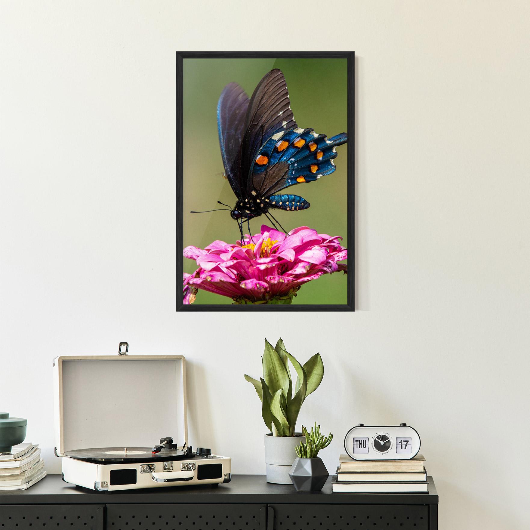 Plakat w Ramie Blue Grey Butterfly mockup 2