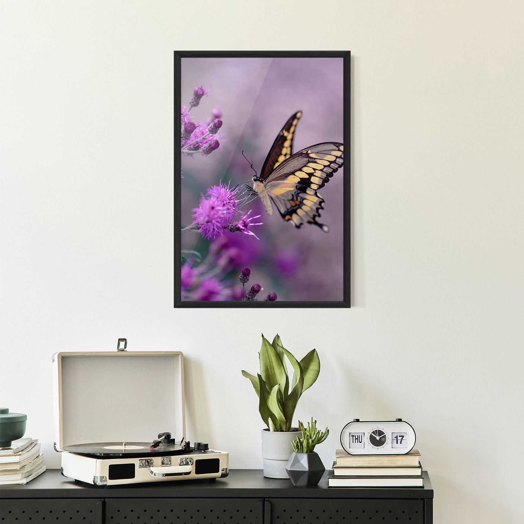 Plakat w Ramie Cream Black Butterfly mockup 2