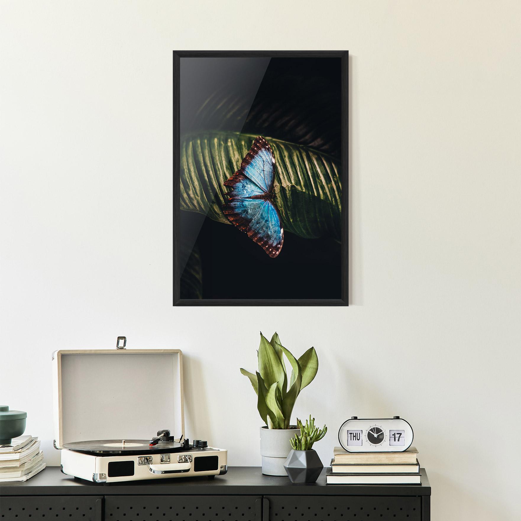 Plakat w Ramie Light Blue Butterfly mockup 2