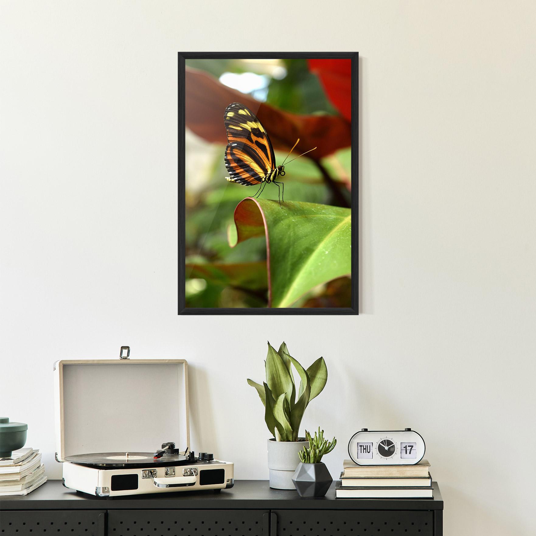 Plakat w Ramie Orange Yellow Butterfly mockup 2