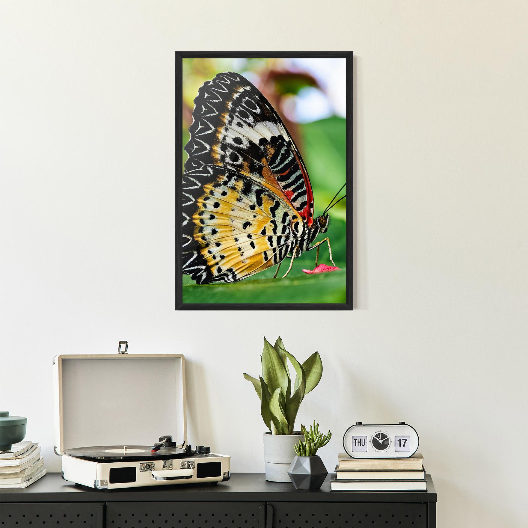Plakat w Ramie Pretty Colorful Butterfly mockup 2