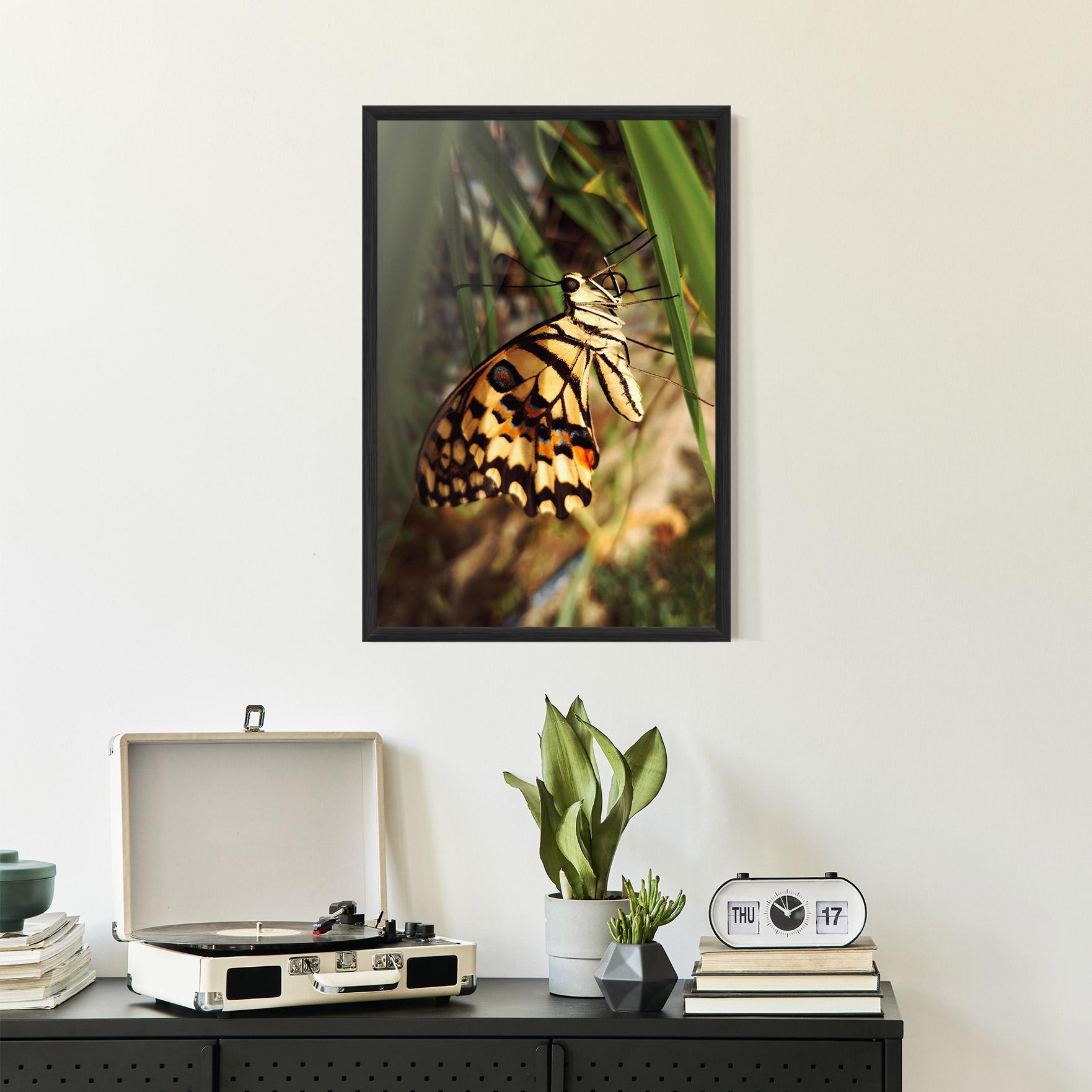 Plakat w Ramie Wild Brown Butterfly mockup 2