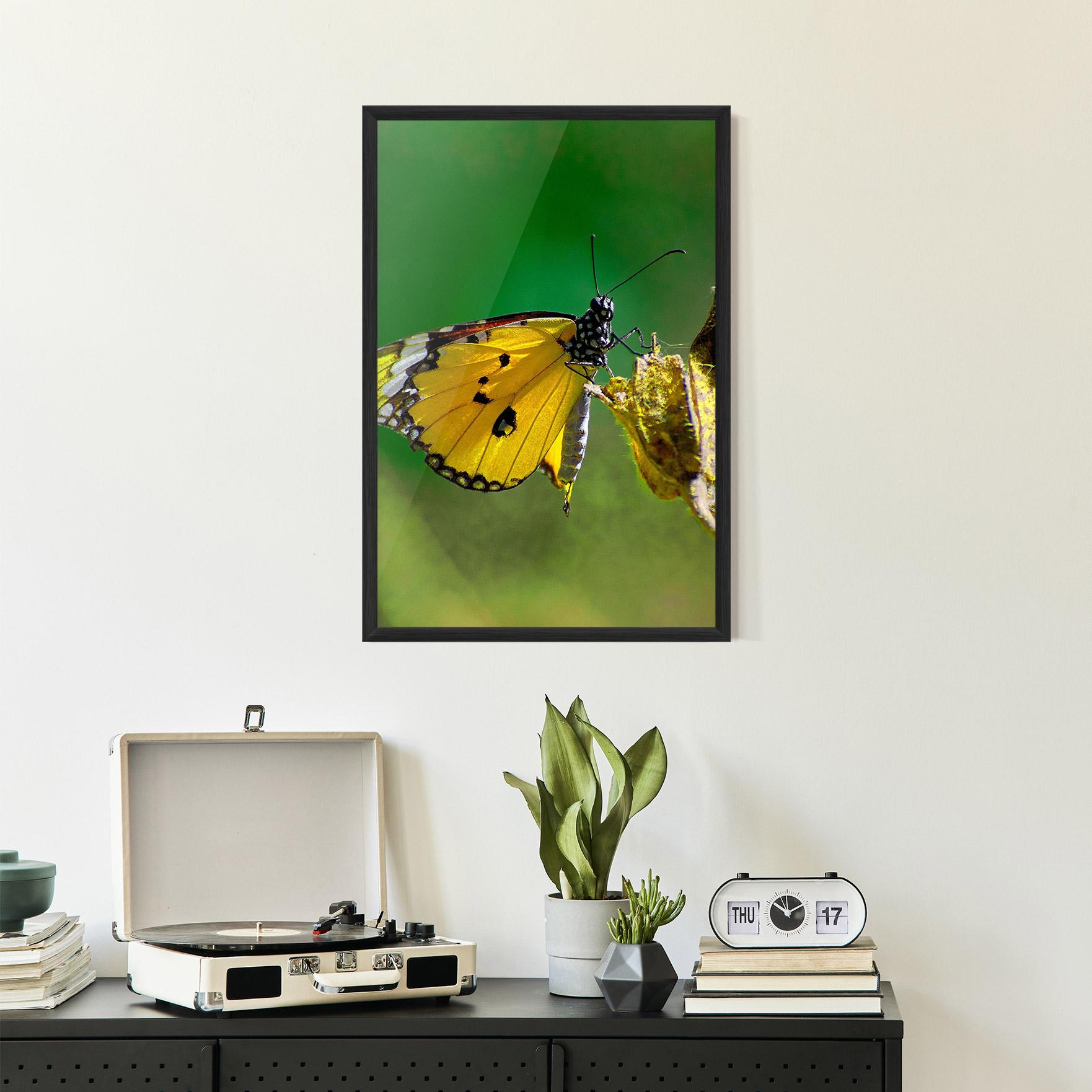 Plakat w Ramie Yellow White Butterfly mockup 2