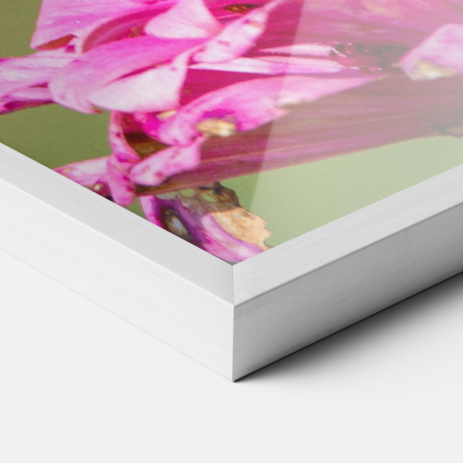 Plakat w Ramie Blue Grey Butterfly mockup 3