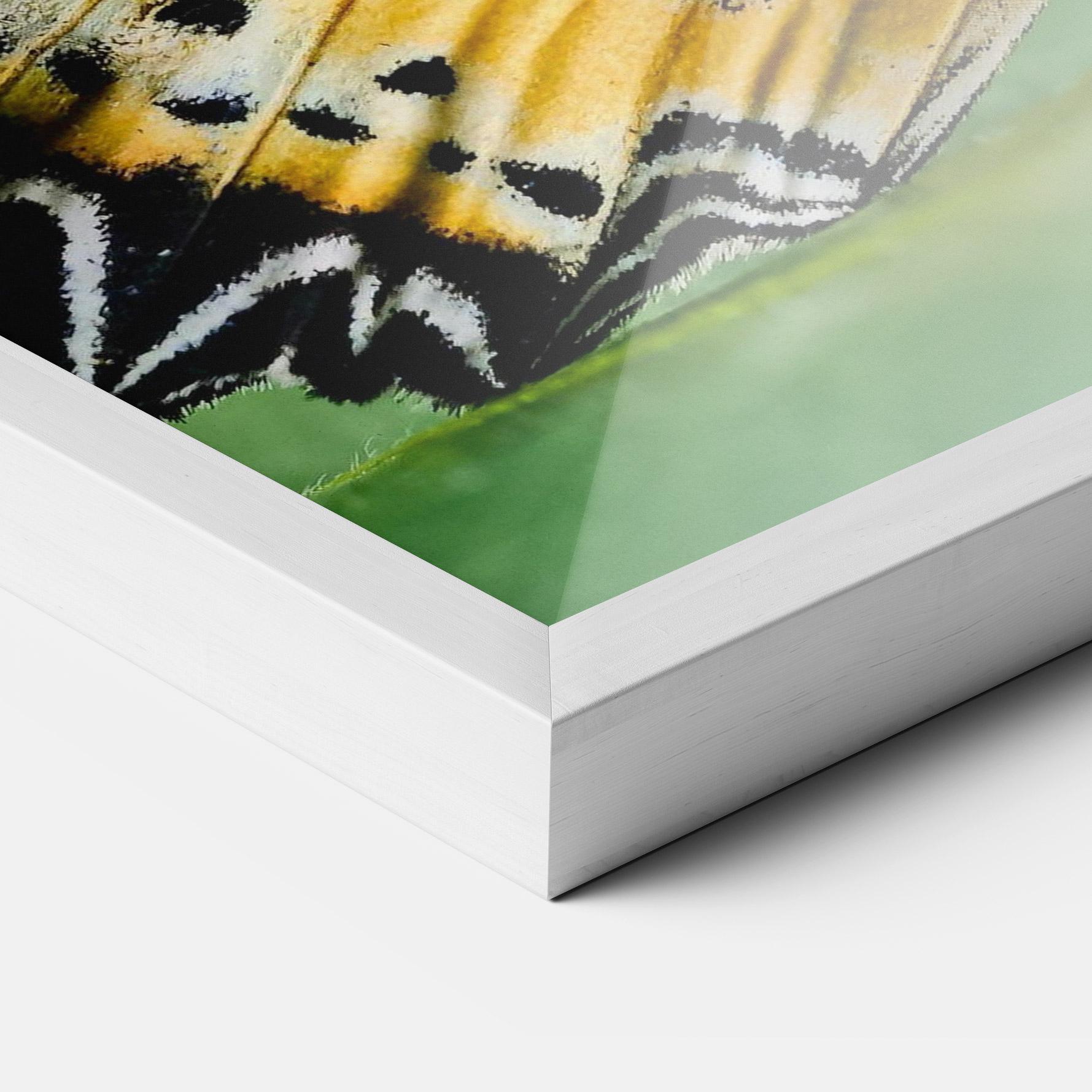 Plakat w Ramie Pretty Colorful Butterfly mockup 3