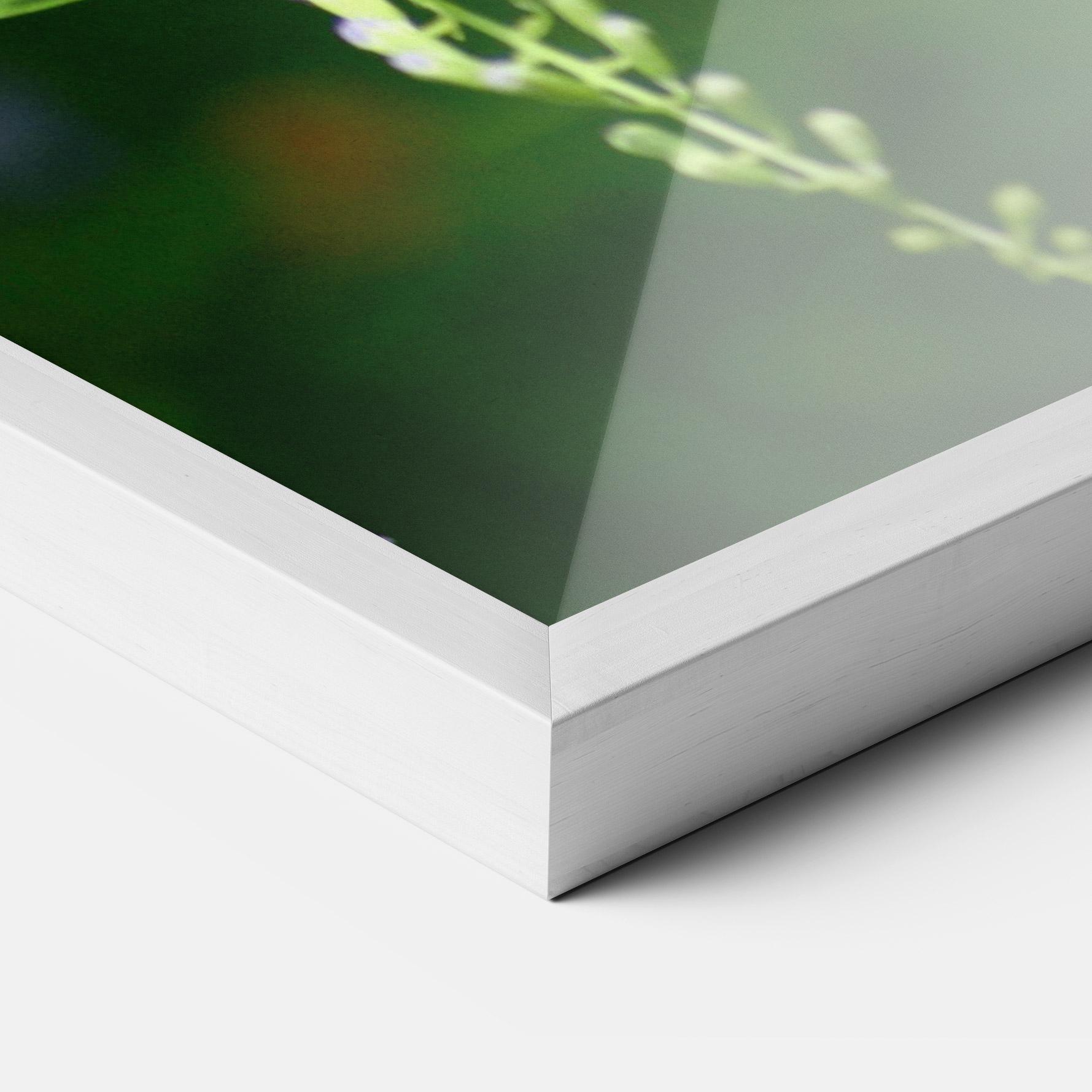 Plakat w Ramie Pretty White Butterfly mockup 3