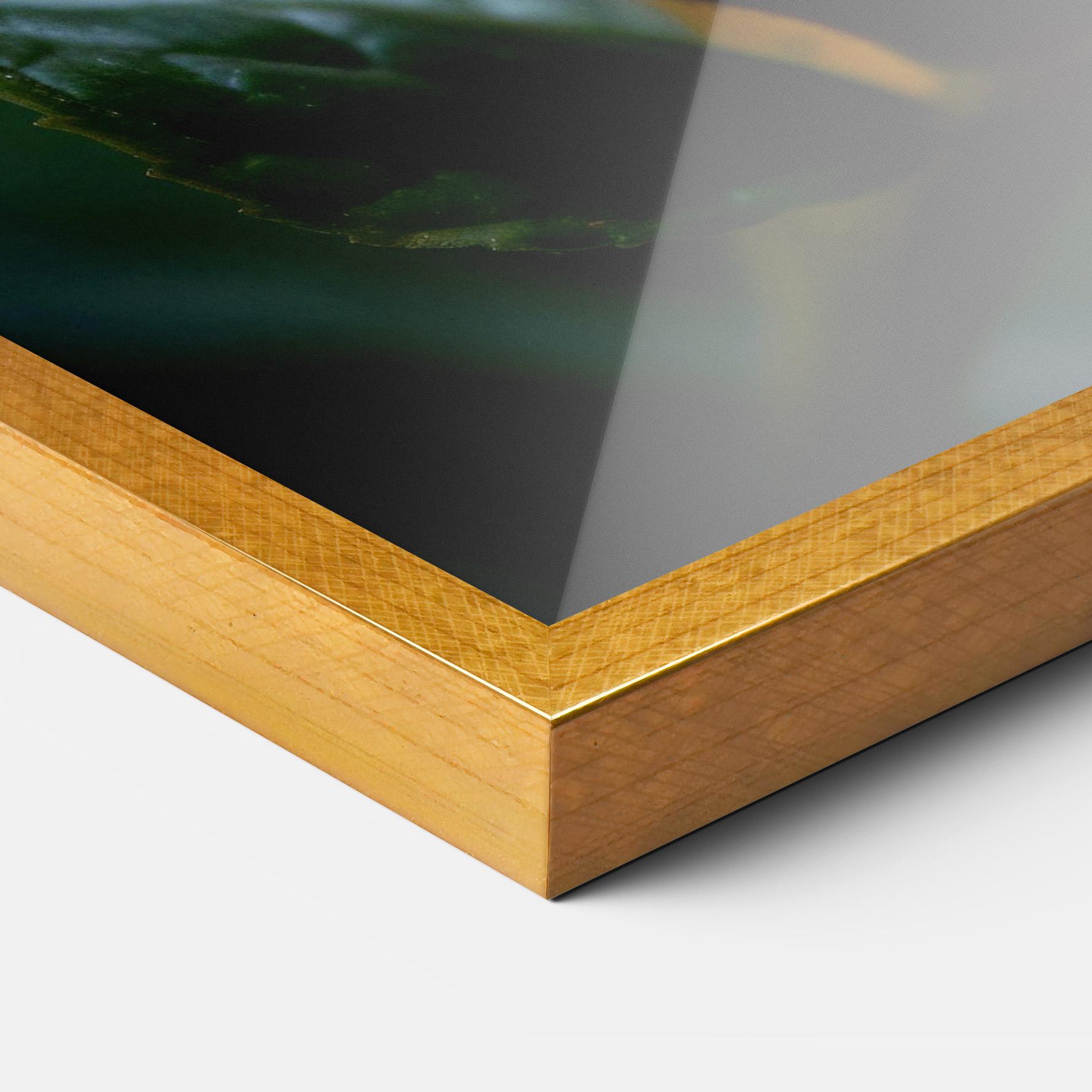 Plakat w Ramie Blue Red Butterfly mockup 3