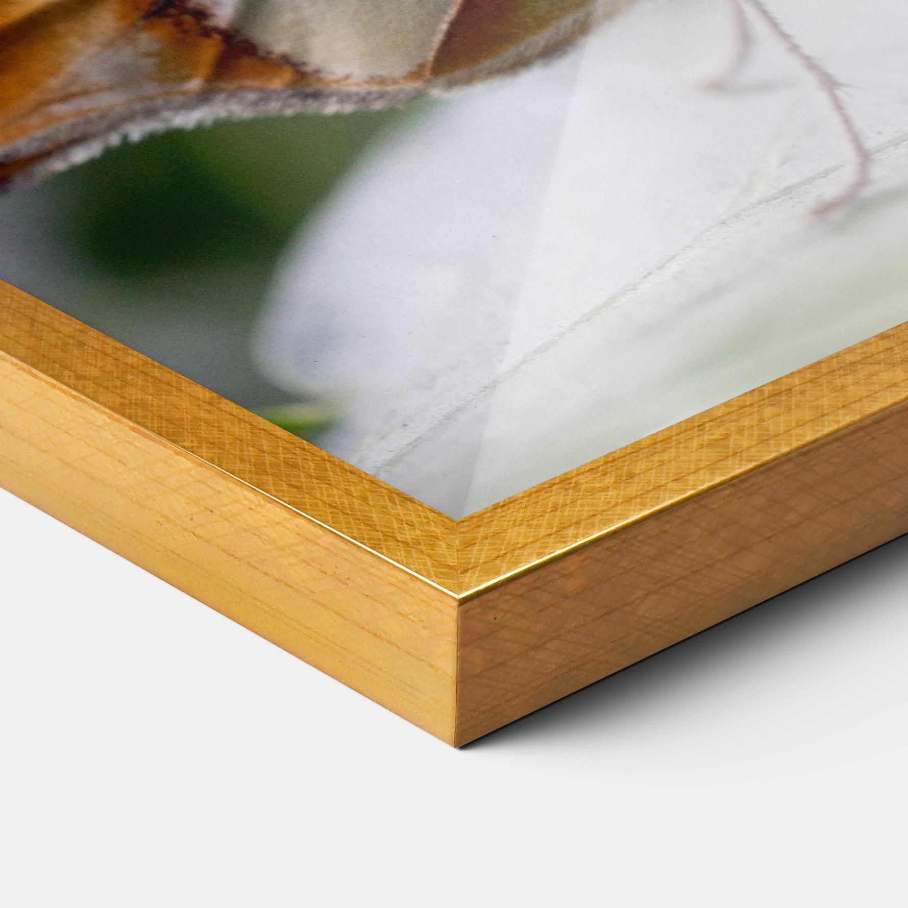 Plakat w Ramie Brown Yellow Butterfly mockup 3