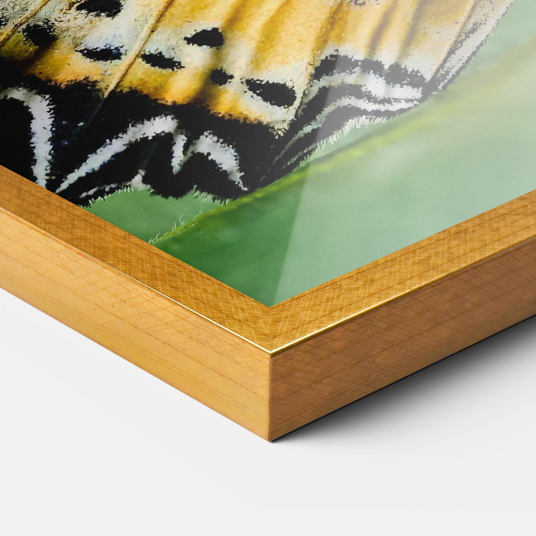 Plakat w Ramie Pretty Colorful Butterfly mockup 3