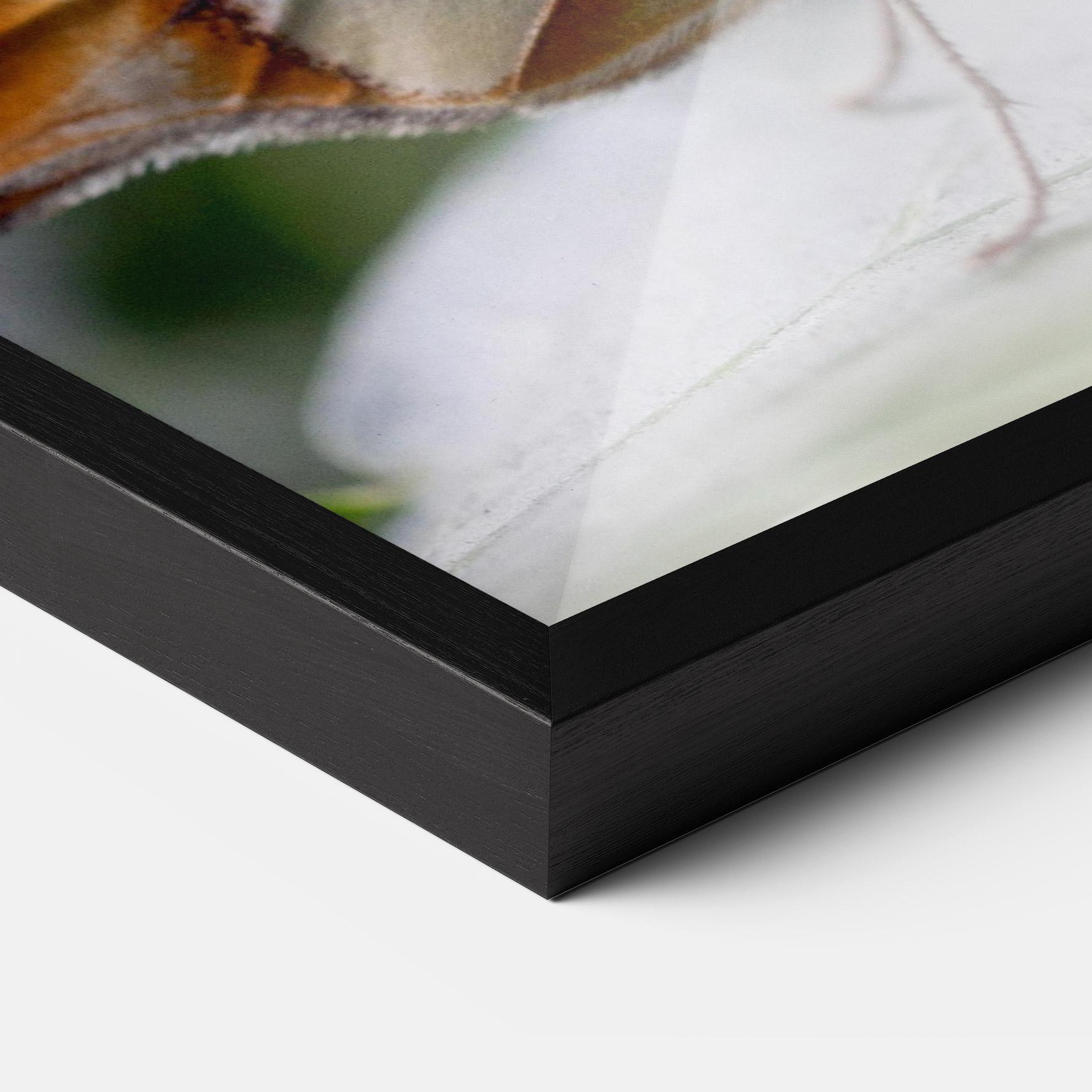 Plakat w Ramie Brown Yellow Butterfly mockup 3