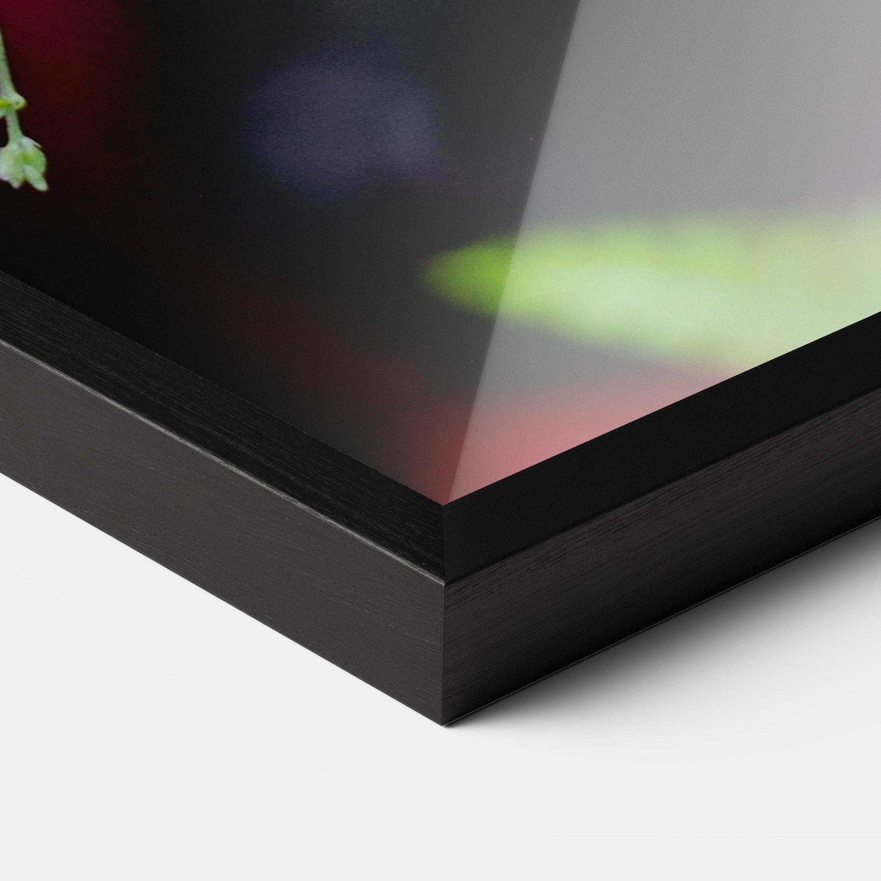 Plakat w Ramie Strong Orange Butterfly mockup 3