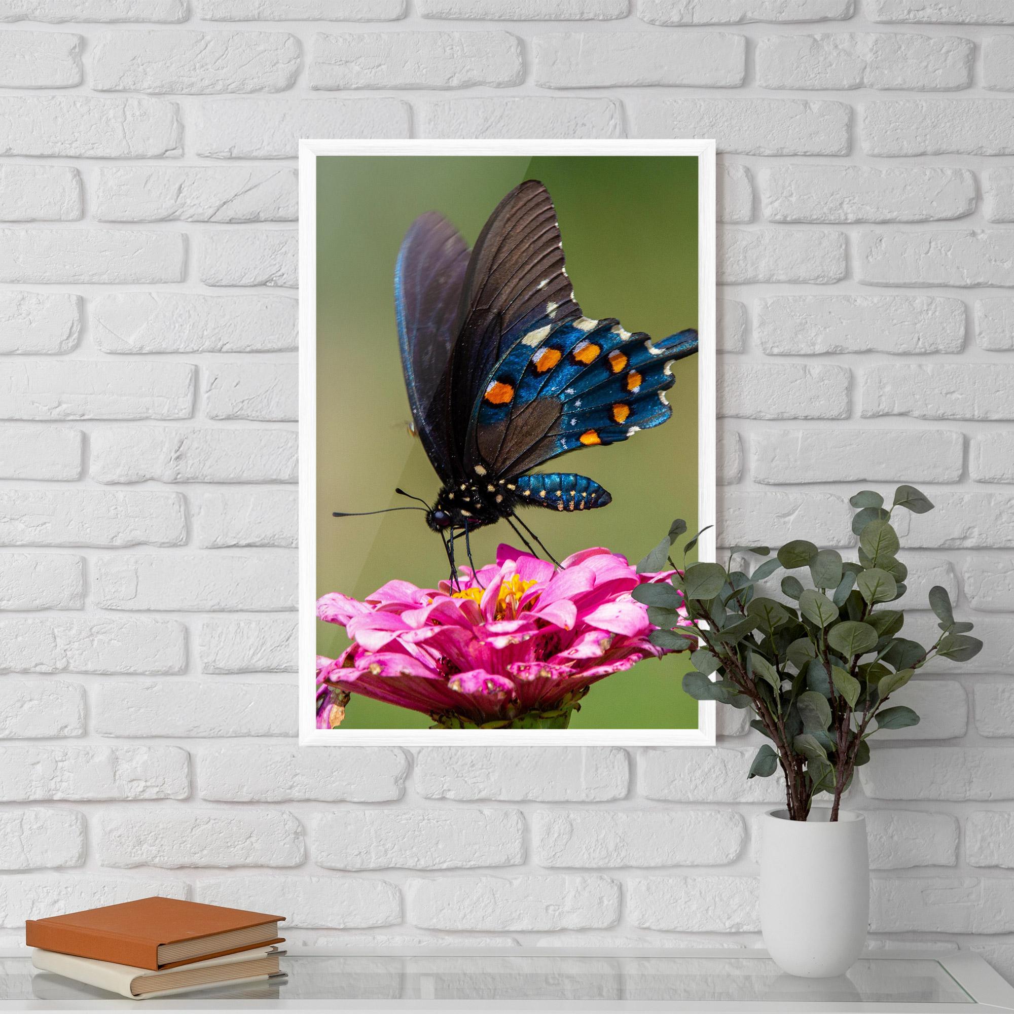 Plakat w Ramie Blue Grey Butterfly mockup 5