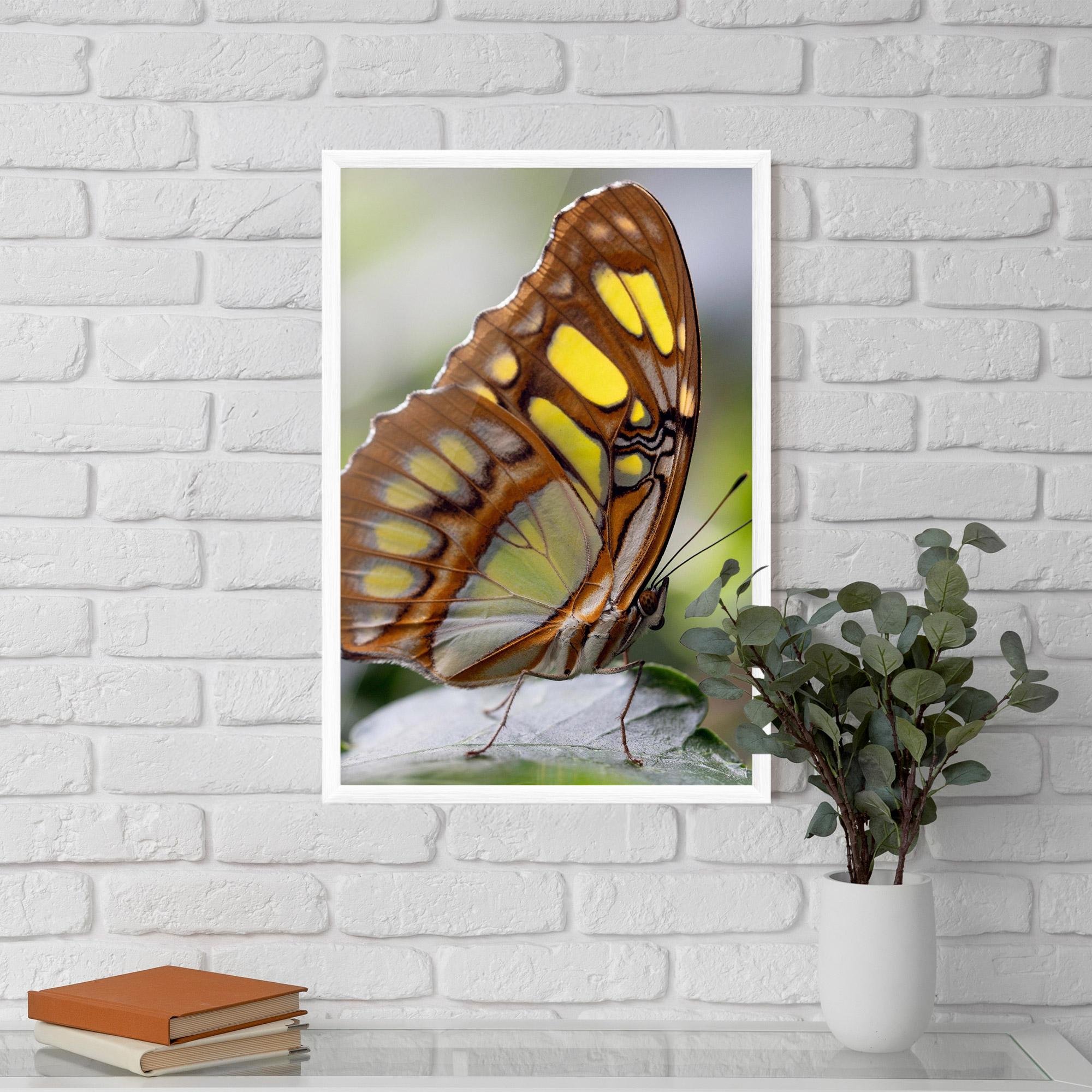 Plakat w Ramie Brown Yellow Butterfly mockup 5