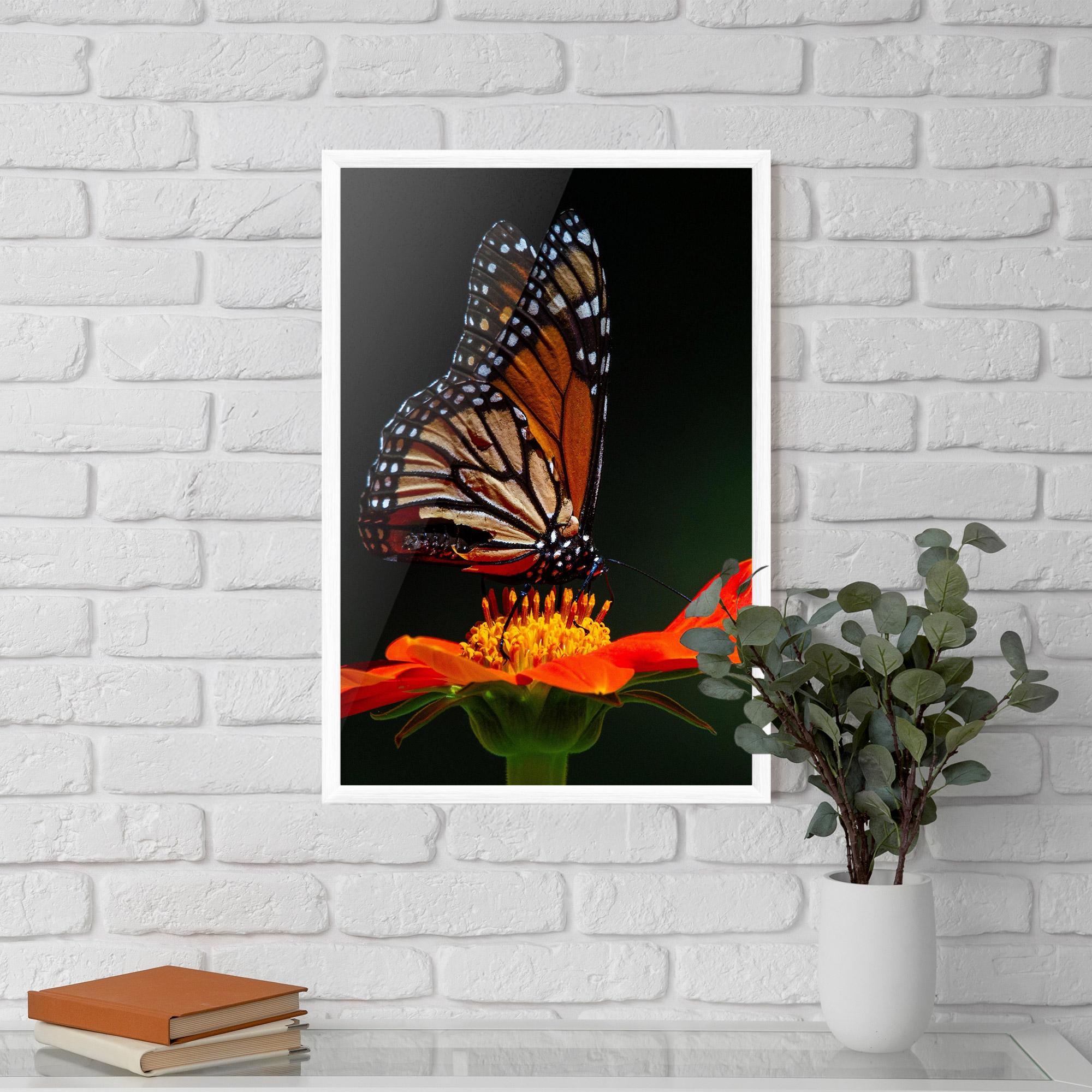 Plakat w Ramie Dark Orange Butterfy mockup 5